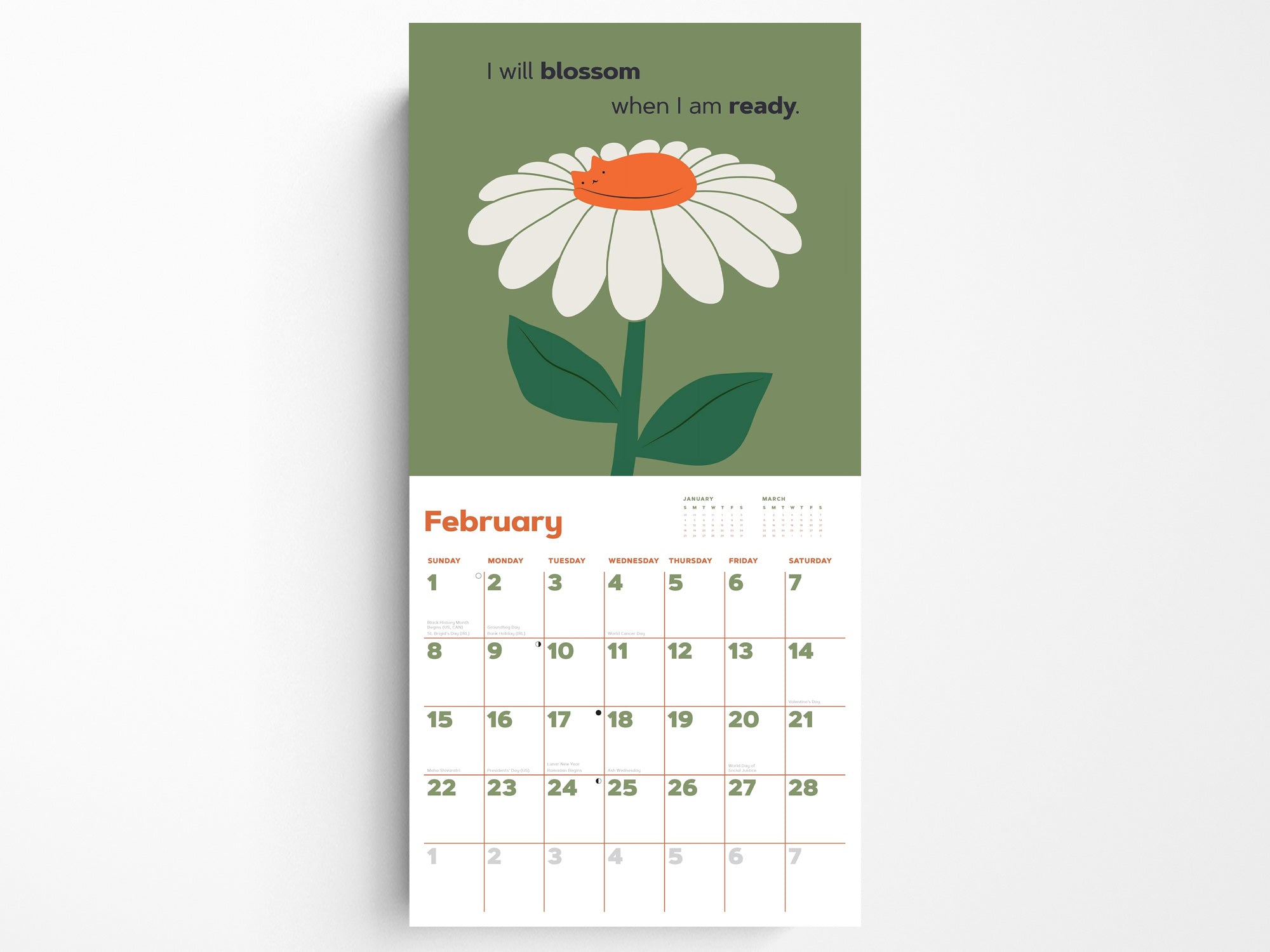 2026 Catffirmations Wall Calendar