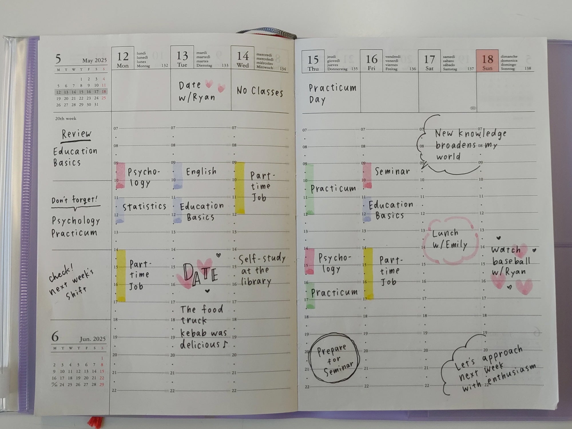 2026 Mark's 16 Month Pink Wave Weekly Planner