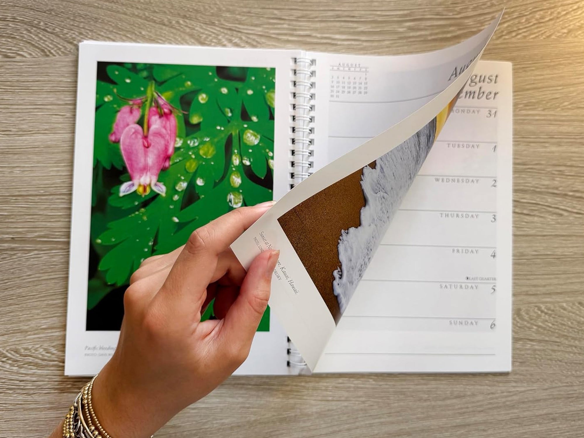 2026 Sierra Club Engagement Calendar