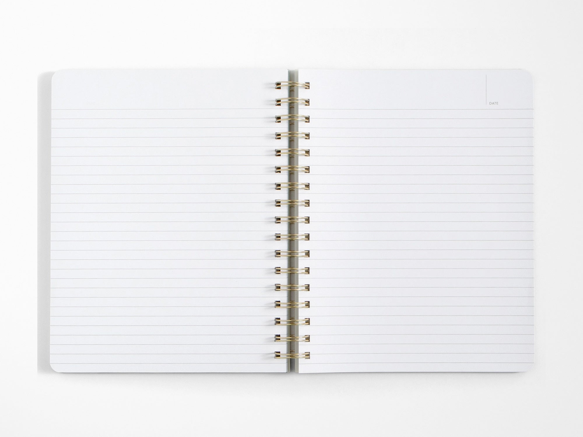 Professional Overachiever Spiral Notebook