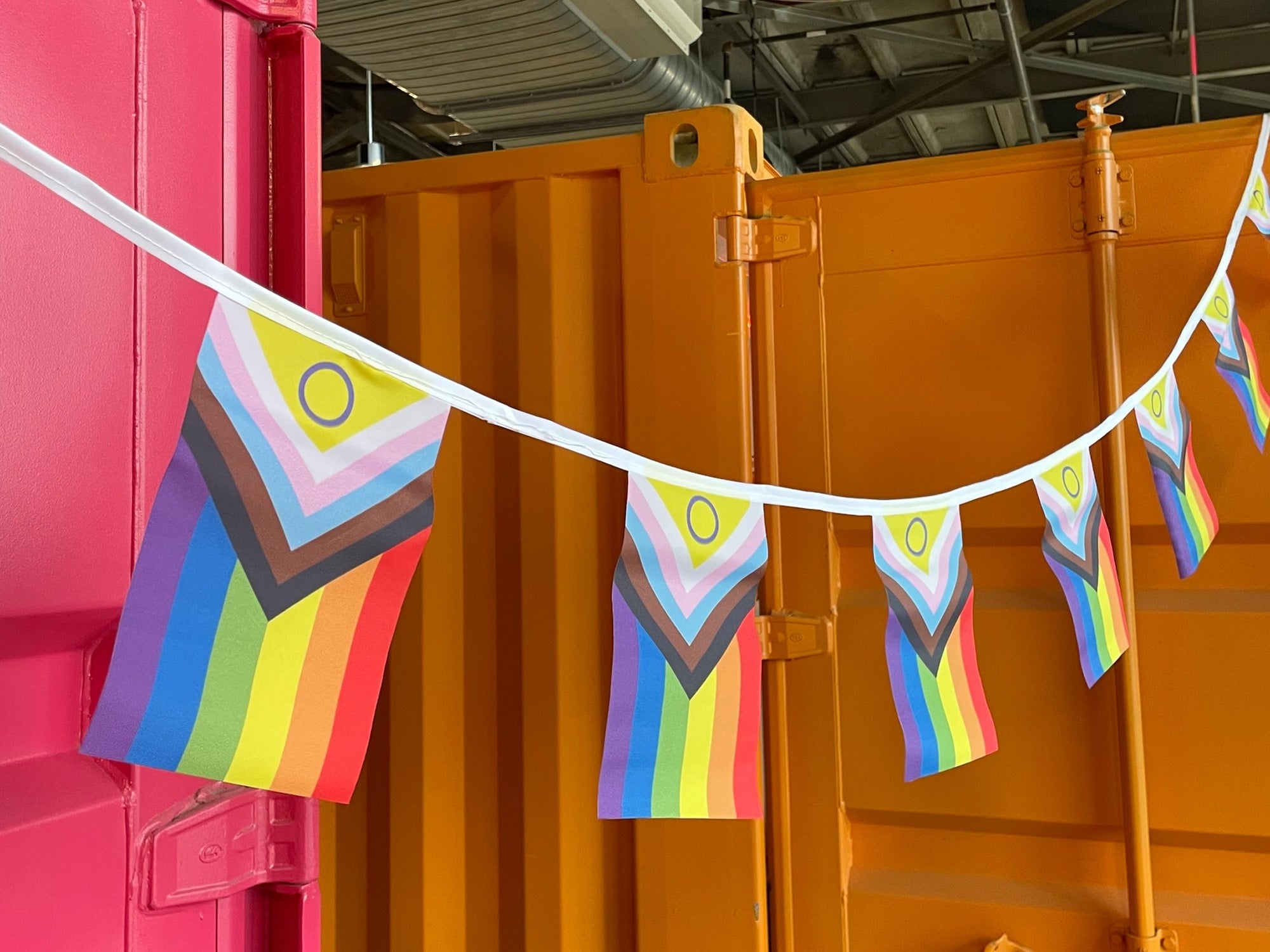 Progress Pride Flag Bunting Party Pack