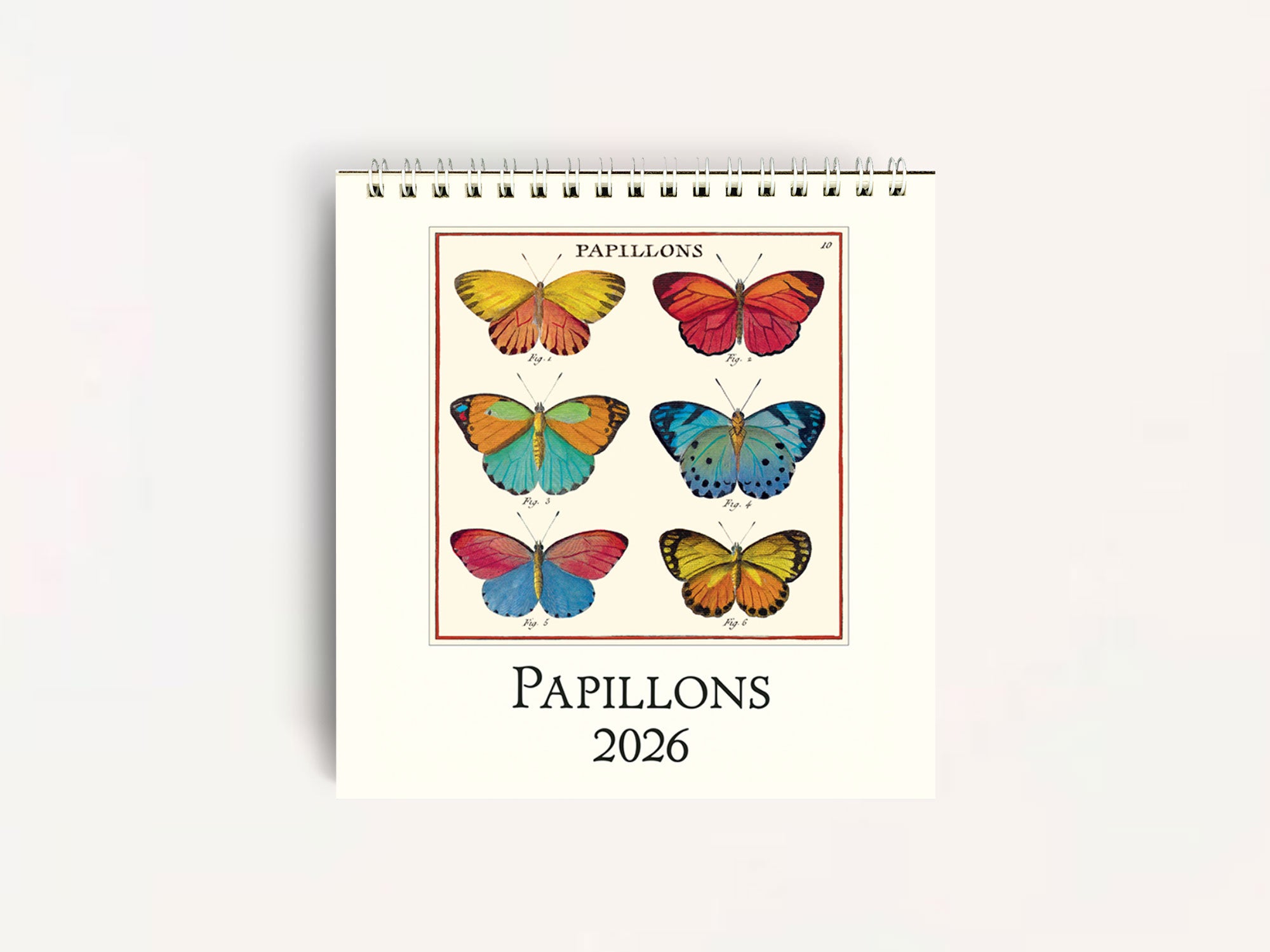 Cavallini 2026 DESK Calendar - Papillons