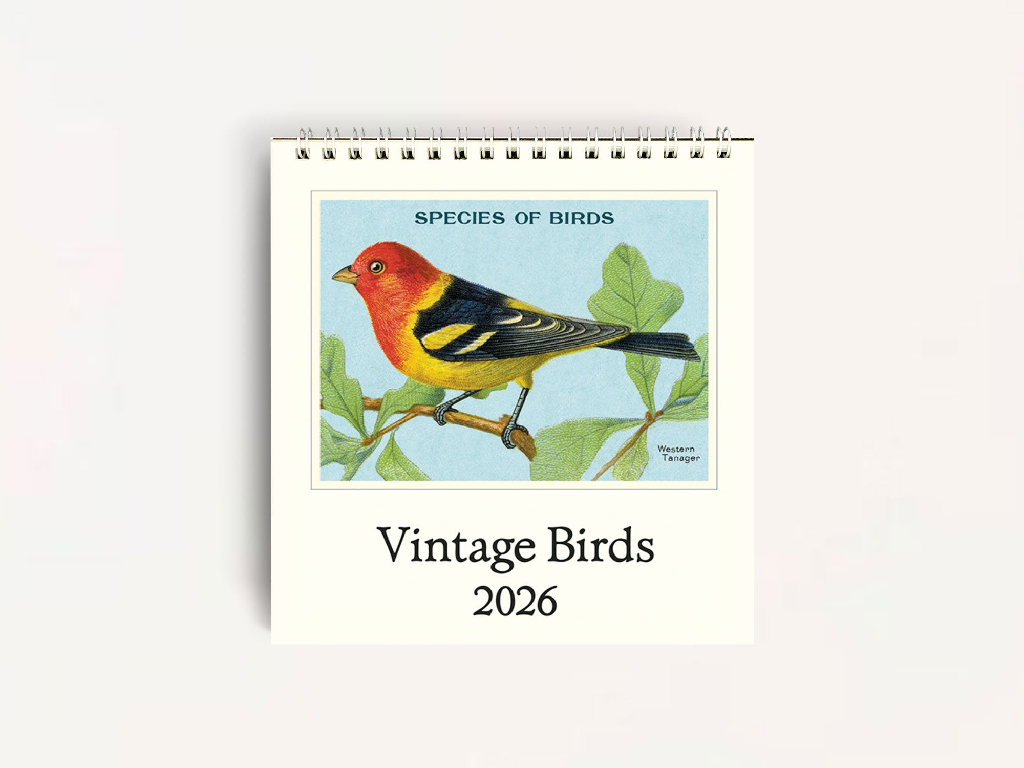 Cavallini 2026 DESK Calendar - Vintage Birds