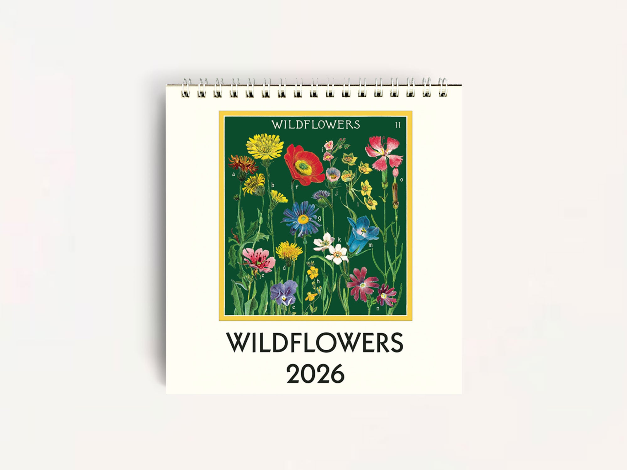 Cavallini 2026 DESK Calendar - Wildflowers