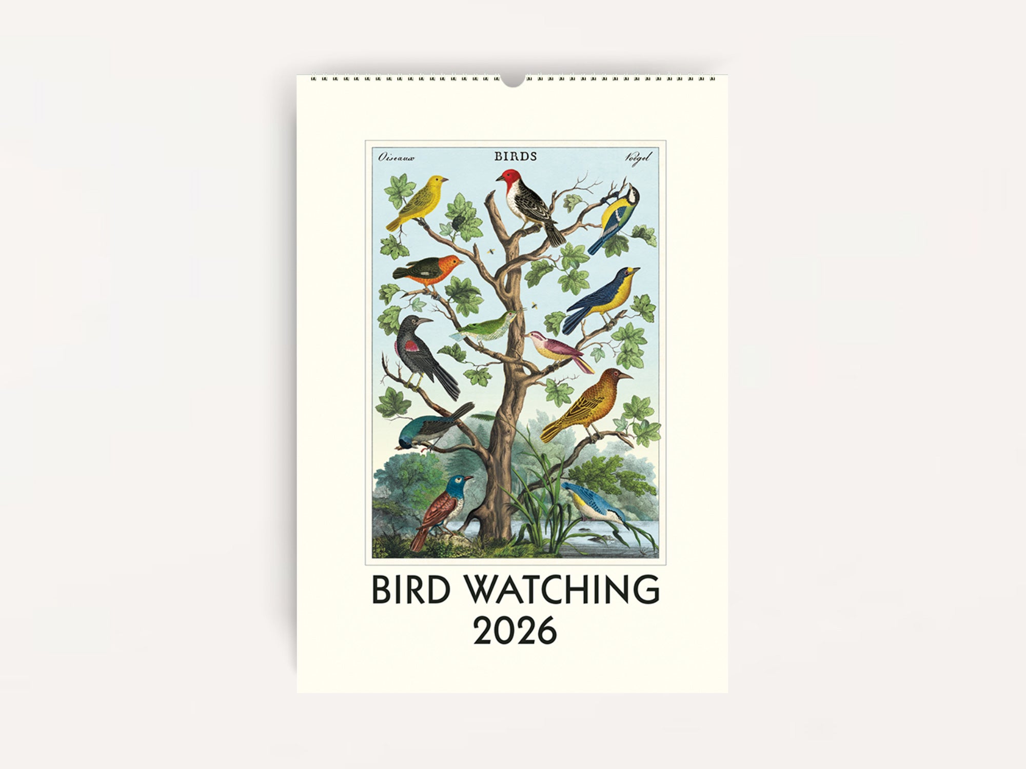 Cavallini 2026 WALL Calendar - Bird Watching