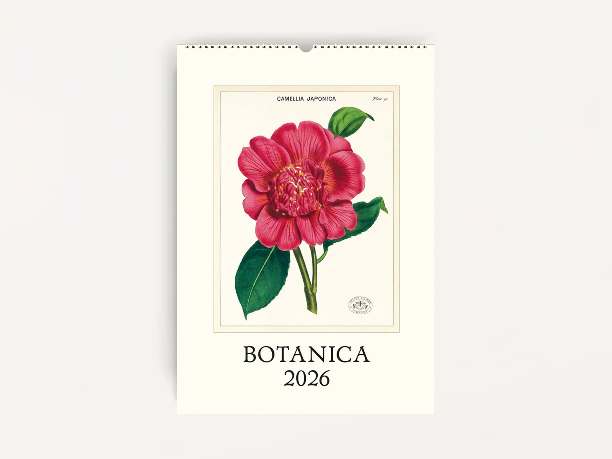Cavallini 2026 WALL Calendar - Botanica