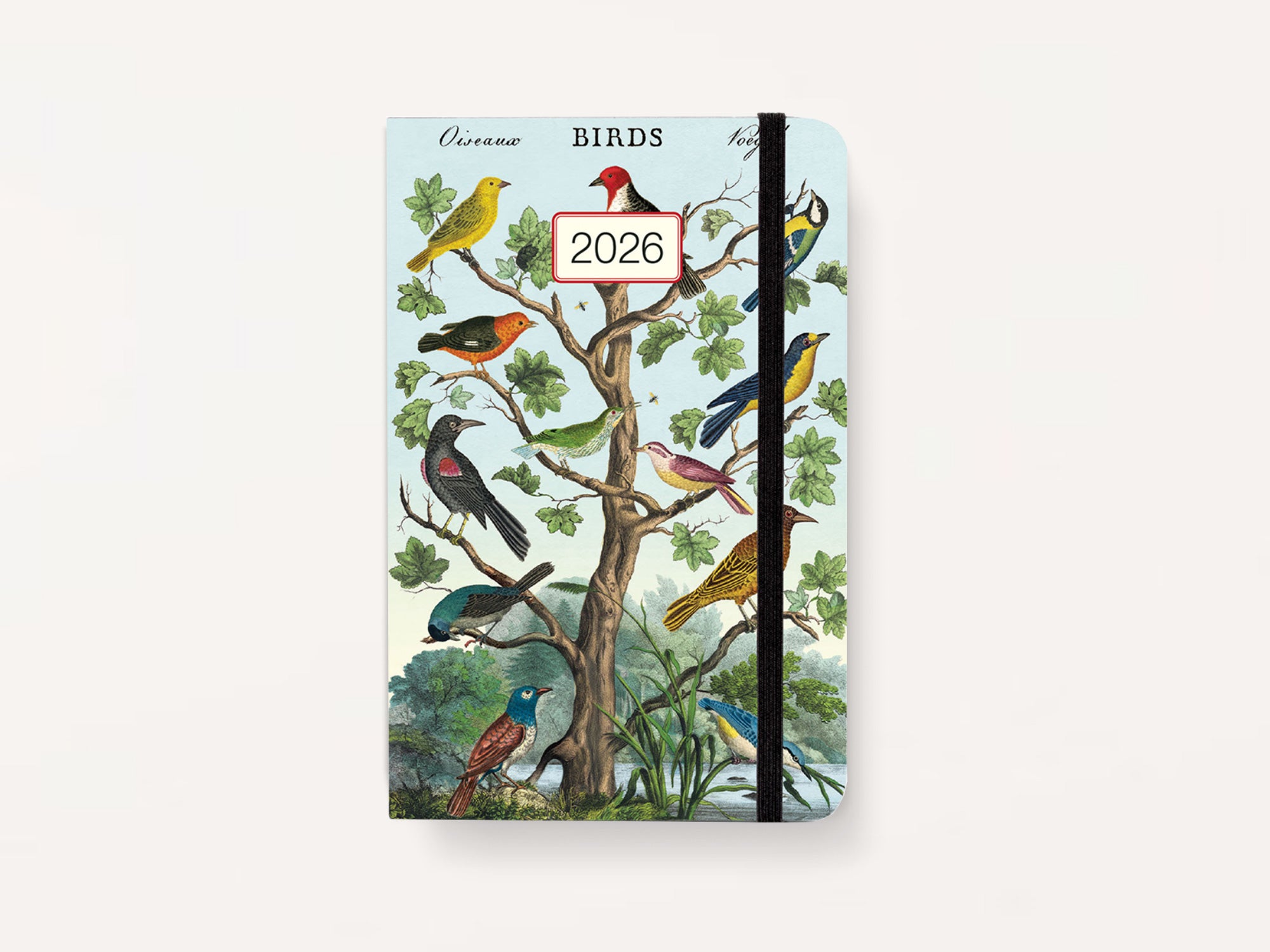 Cavallini 2026 WEEKLY PLANNER - Birds
