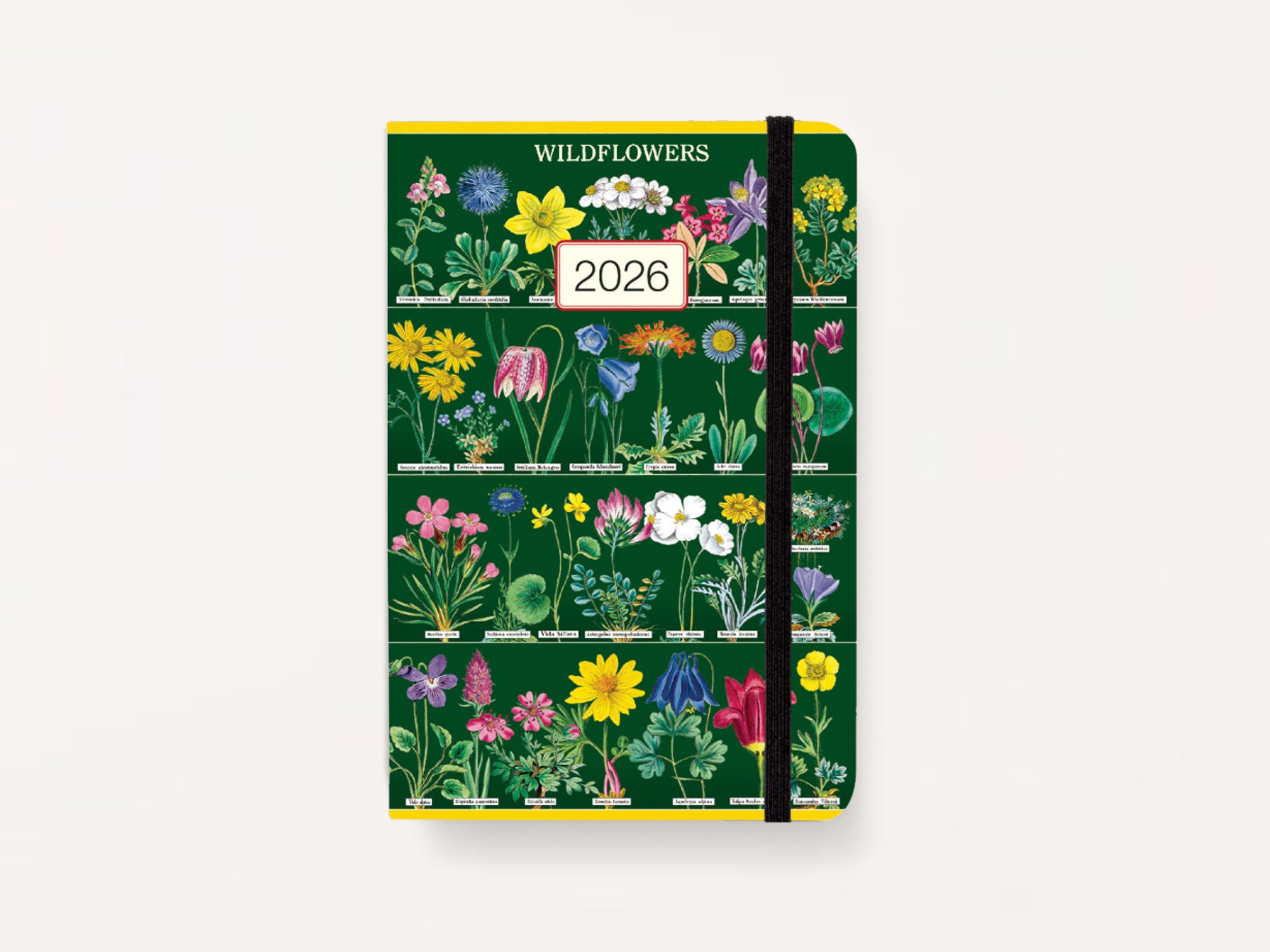 Cavallini 2026 WEEKLY PLANNER - Wildflowers