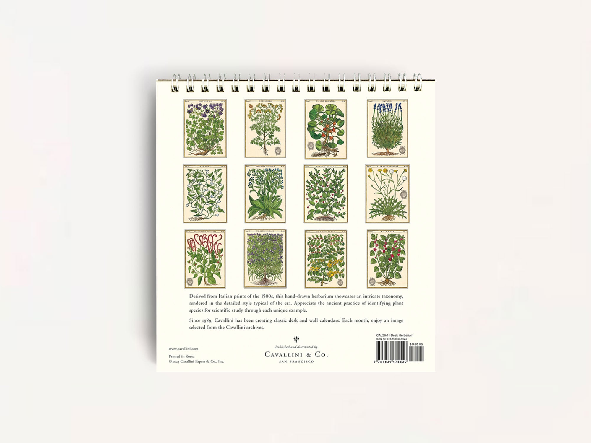 Cavallini 2026 DESK Calendar - Herbarium