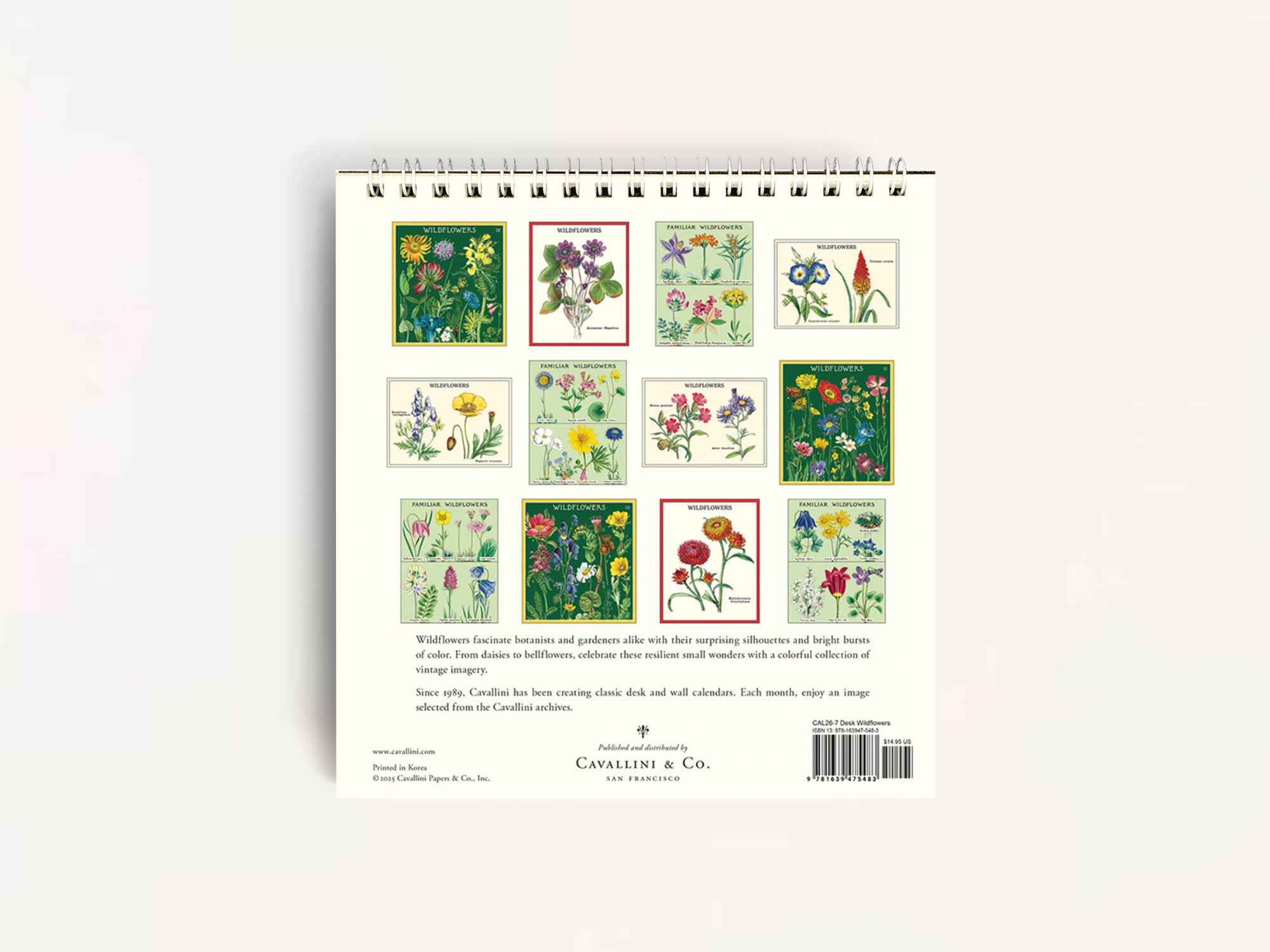 Cavallini 2026 DESK Calendar - Wildflowers