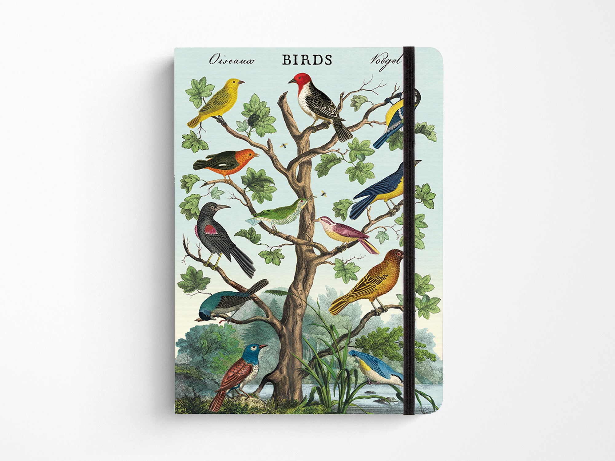 Cavallini Large Vintage Notebook - Birds