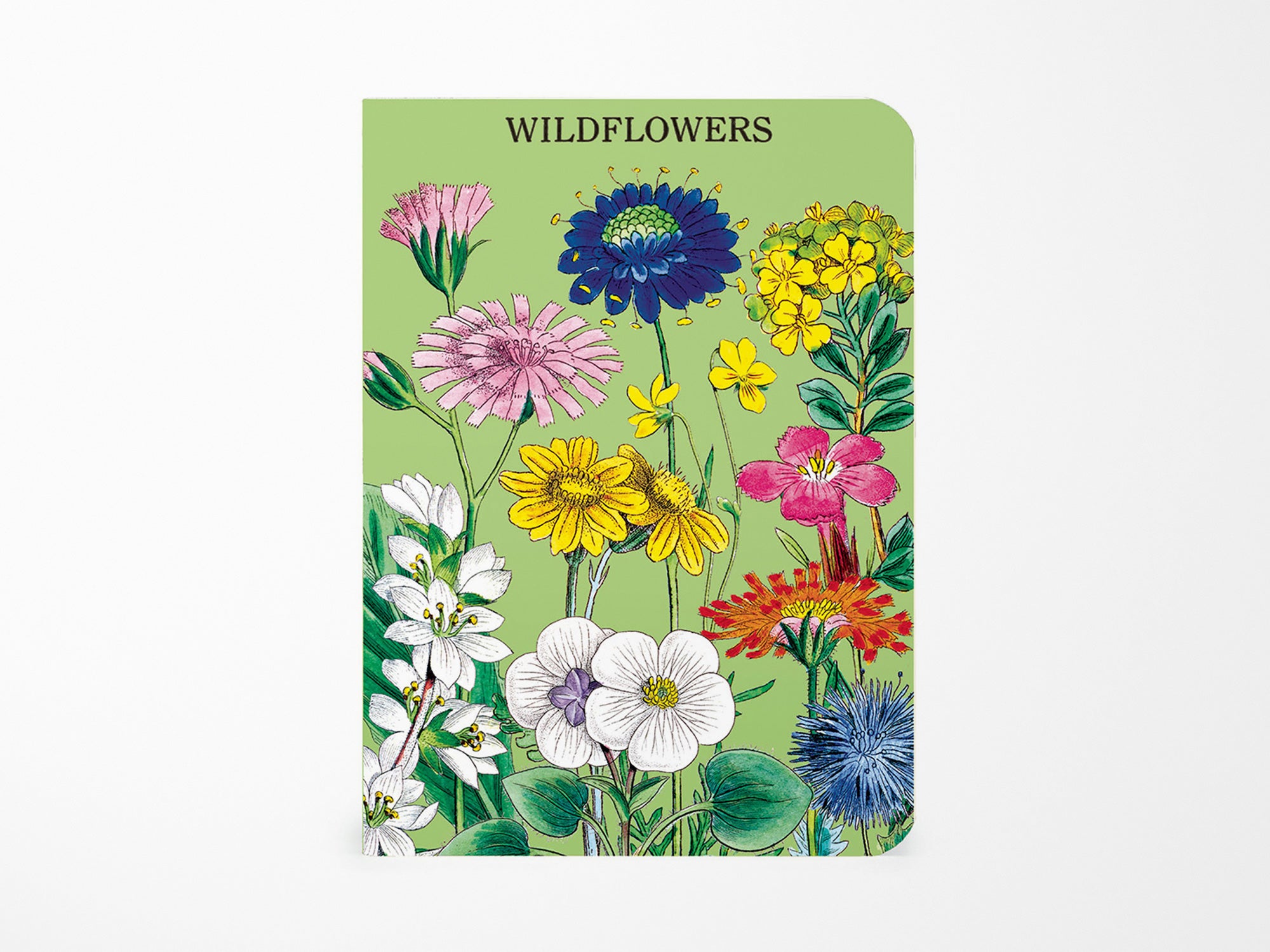 Cavallini Mini Vintage Notebooks Set of 3 - Wildflowers
