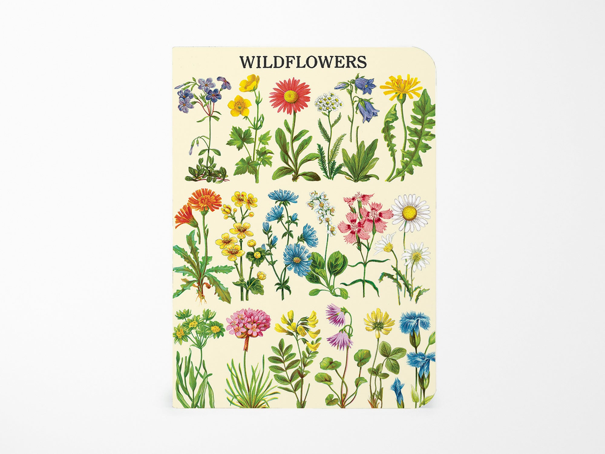 Cavallini Mini Vintage Notebooks Set of 3 - Wildflowers