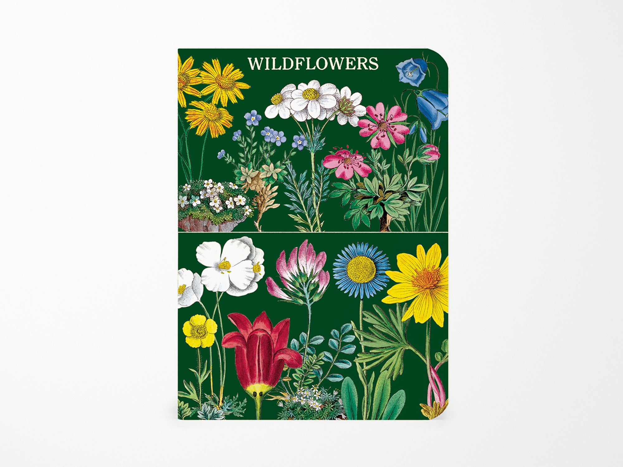 Cavallini Mini Vintage Notebooks Set of 3 - Wildflowers