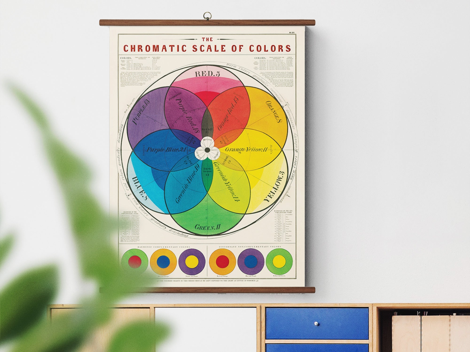 Cavallini Vintage School Chart - Chromatic Scale of Colors