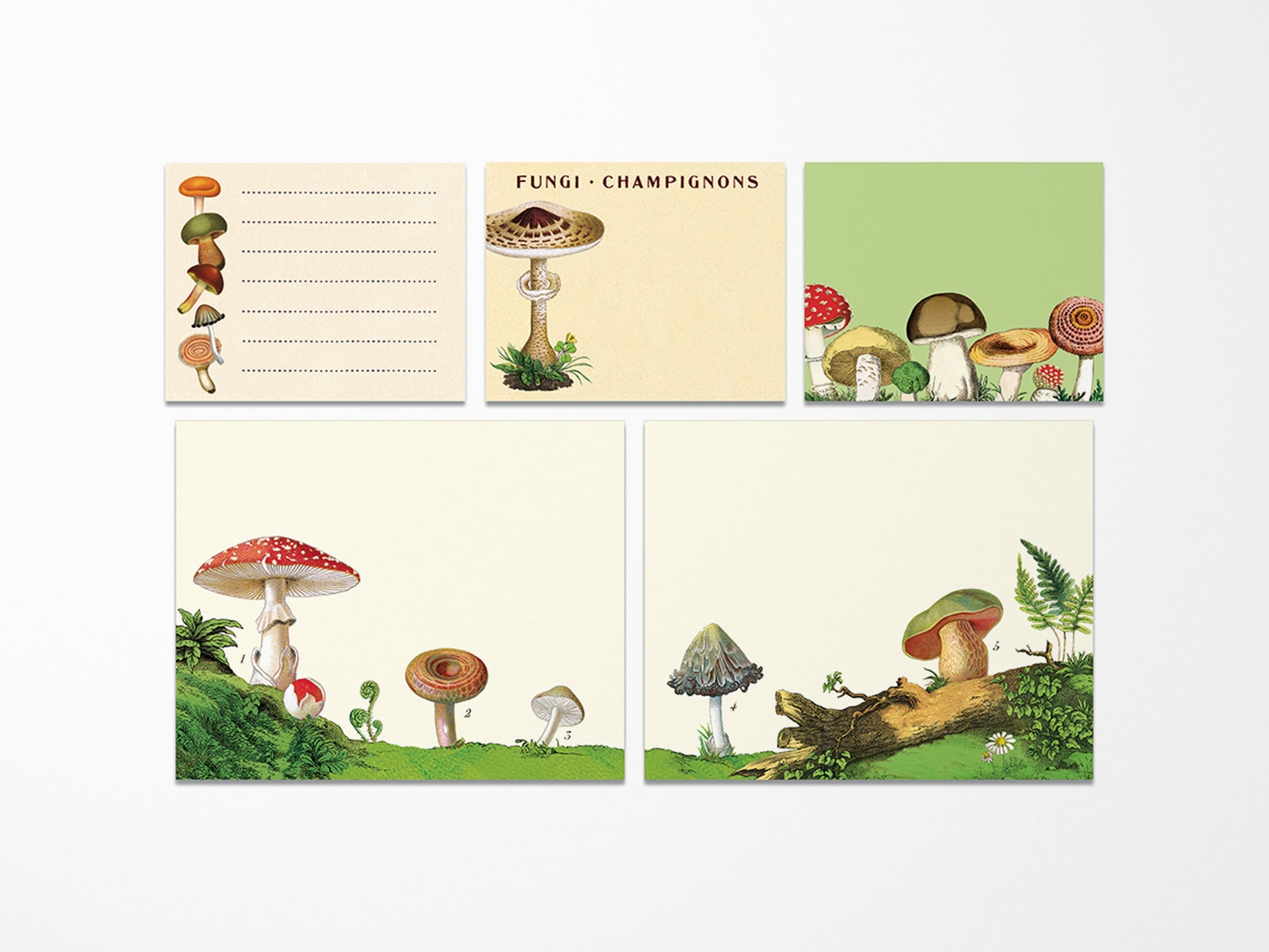 Cavallini Vintage Sticky Notes - Mushrooms