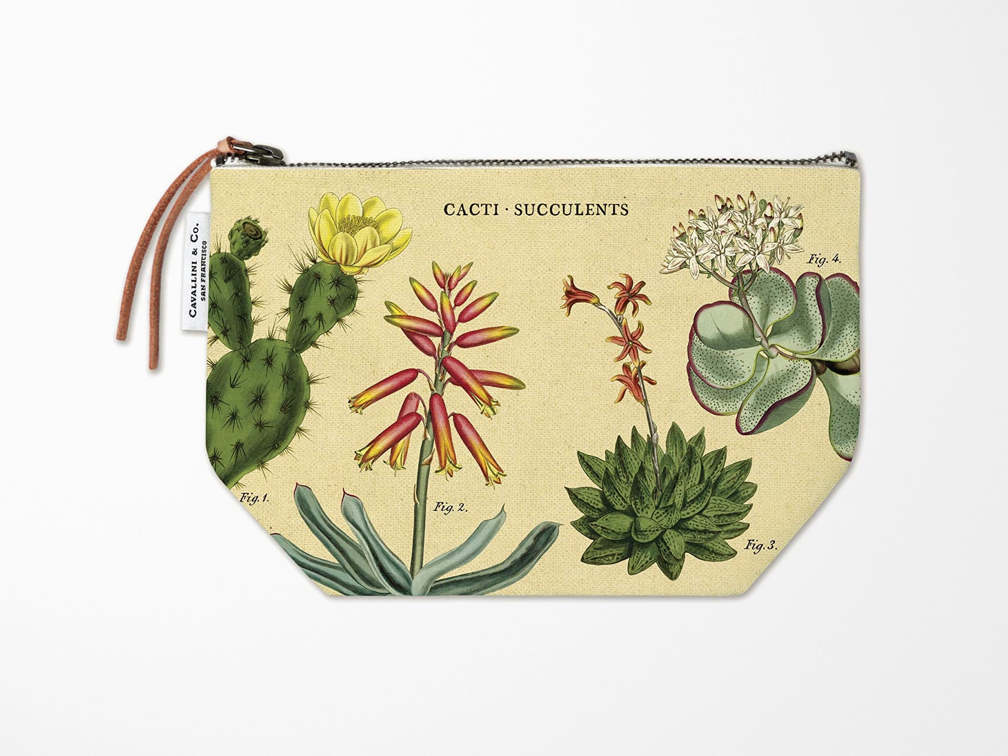 Cavallini Vintage Zipper Pouch - Cacti & Succulents