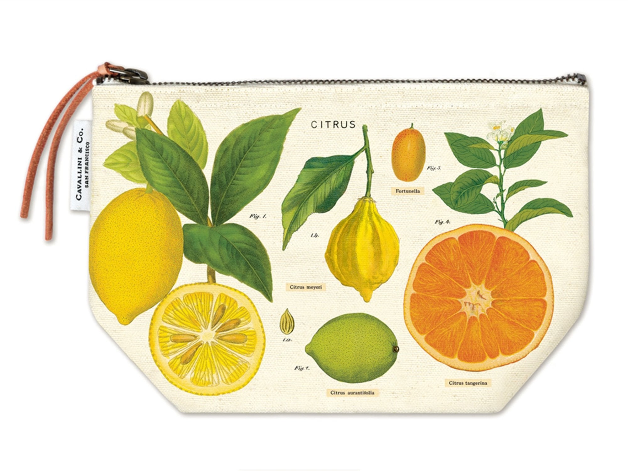 Cavallini Vintage Zipper Pouch - Citrus
