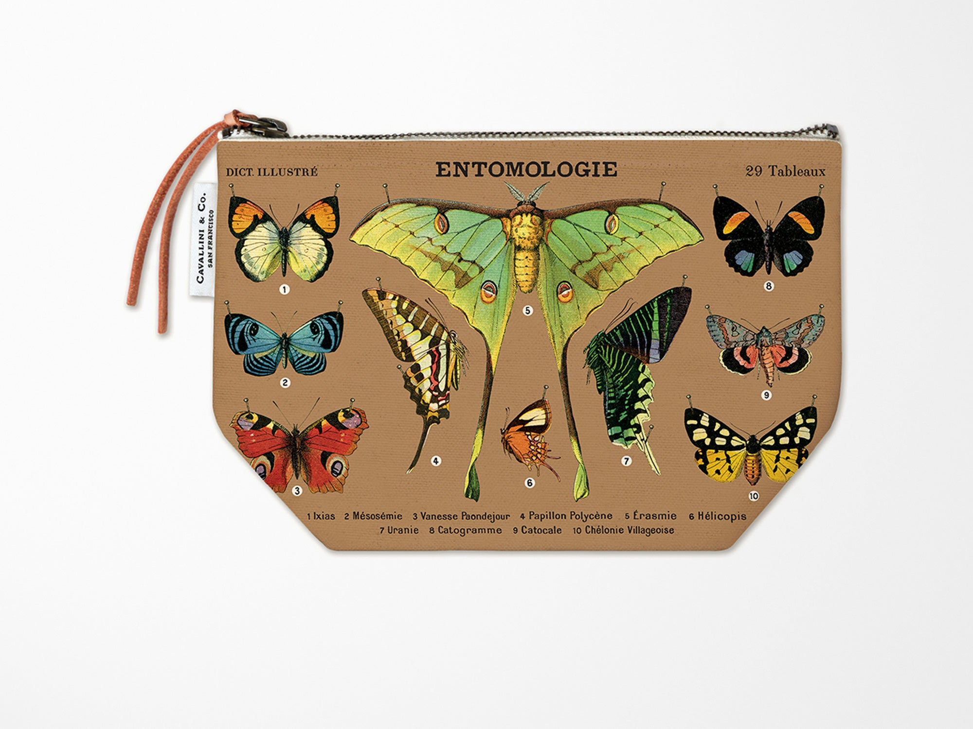 Cavallini Vintage Zipper Pouch - Entomology