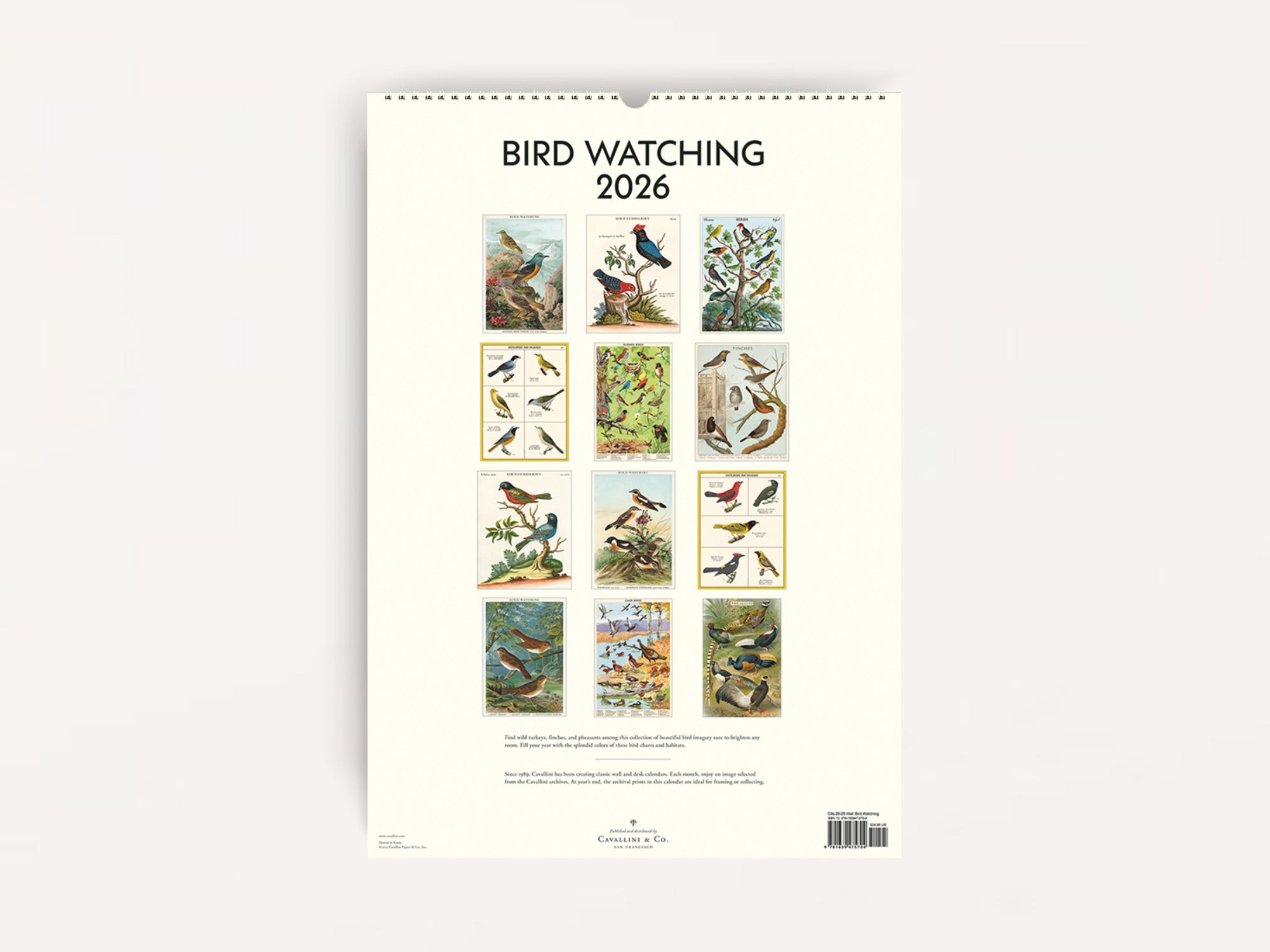 Cavallini 2026 WALL Calendar - Bird Watching