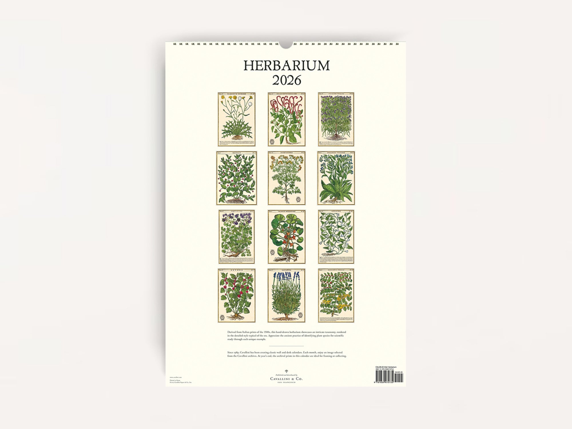 Cavallini 2026 WALL Calendar - Herbarium
