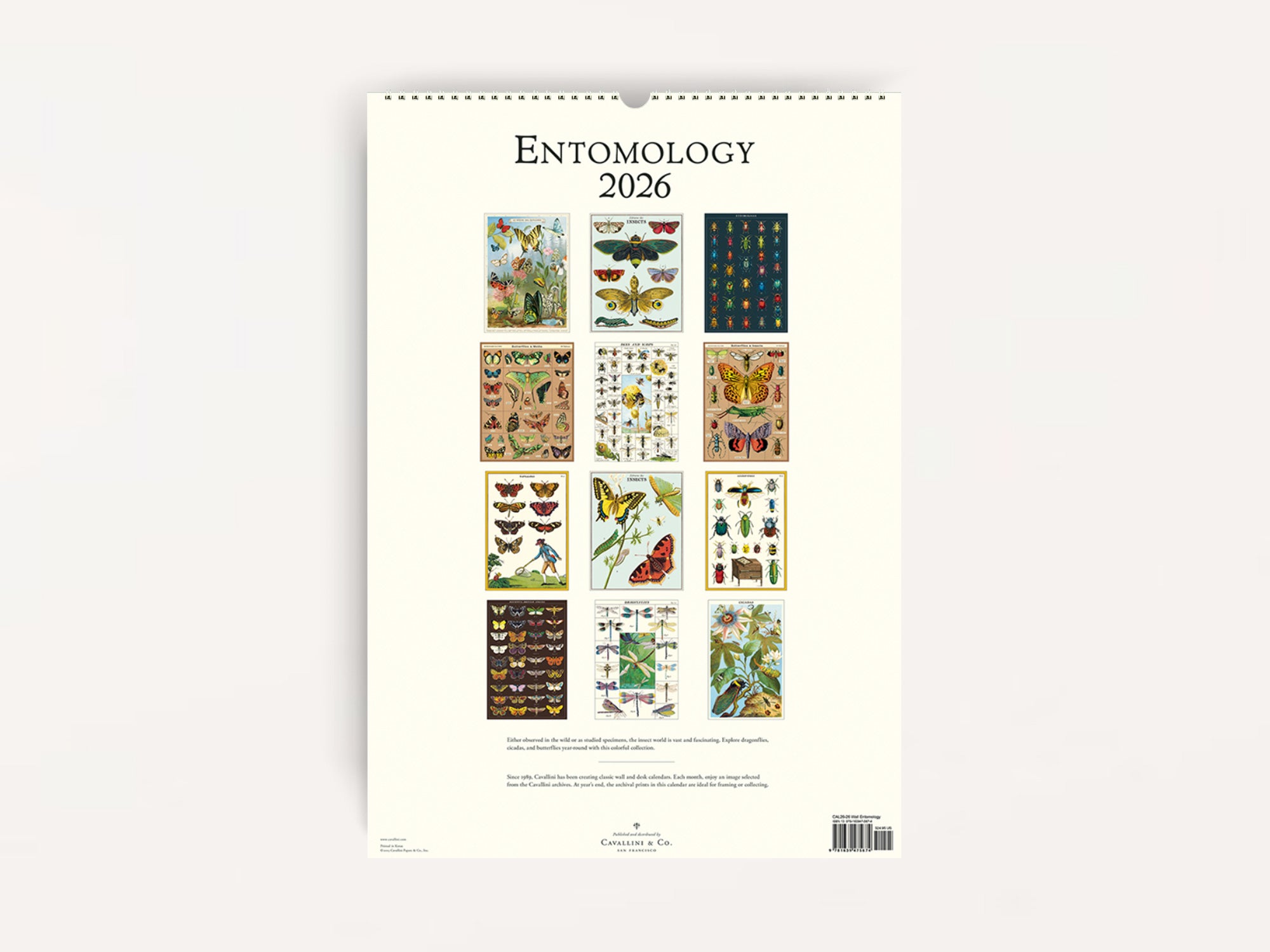 Cavallini 2026 WALL Calendar - Entomology