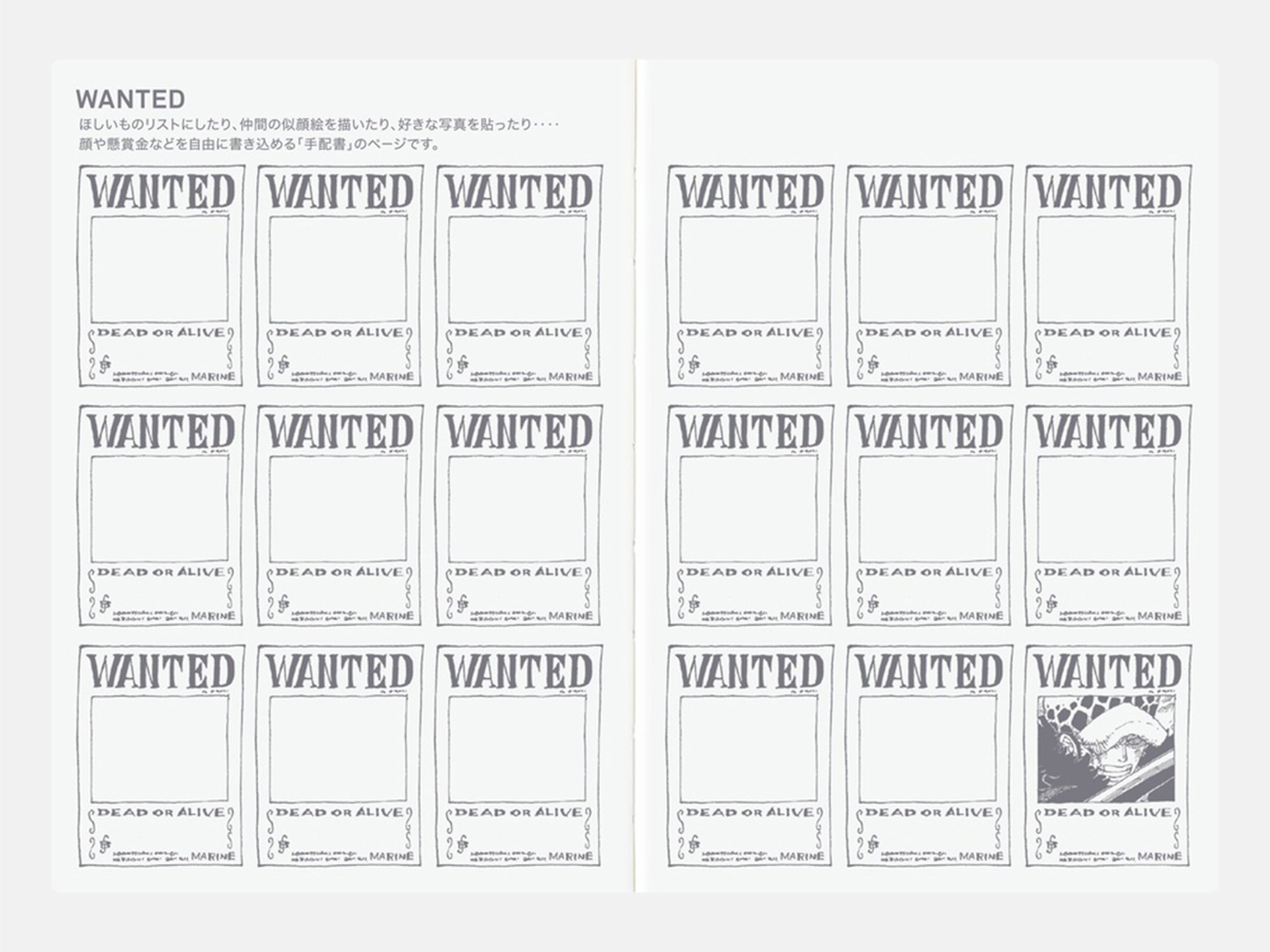 Coming in October! Hobonichi Techo 2026 Original Book A6 - ONE PIECE EDITION