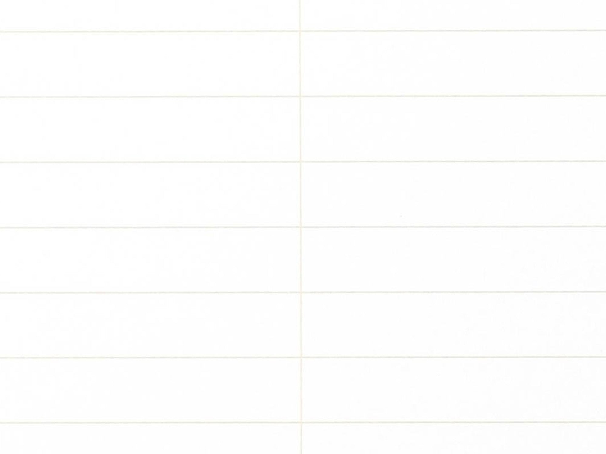 Field Notes 80-Page Steno Book