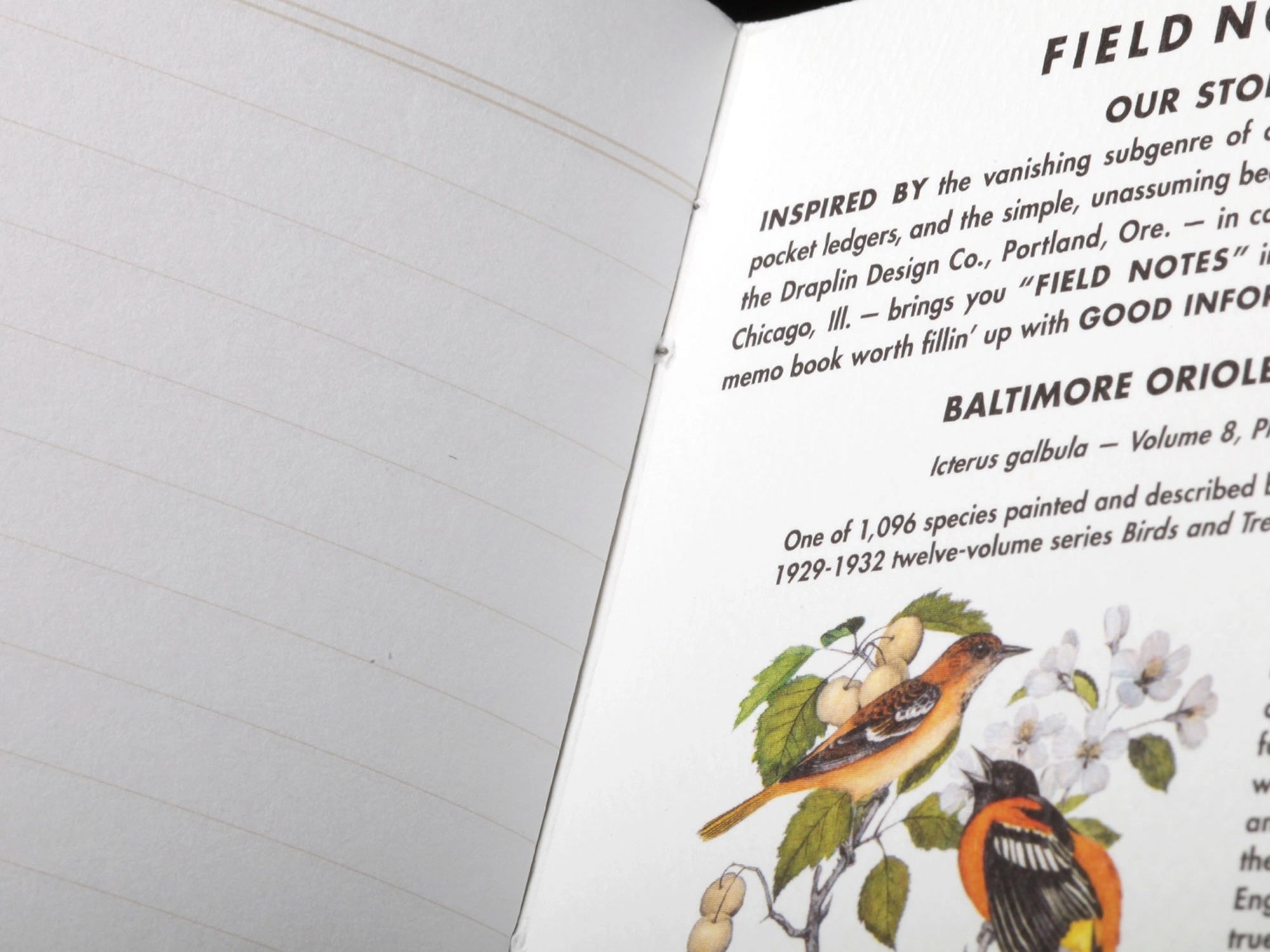 Field Notes Birds and Trees of North America Memo Book Set of 3 - Pack B