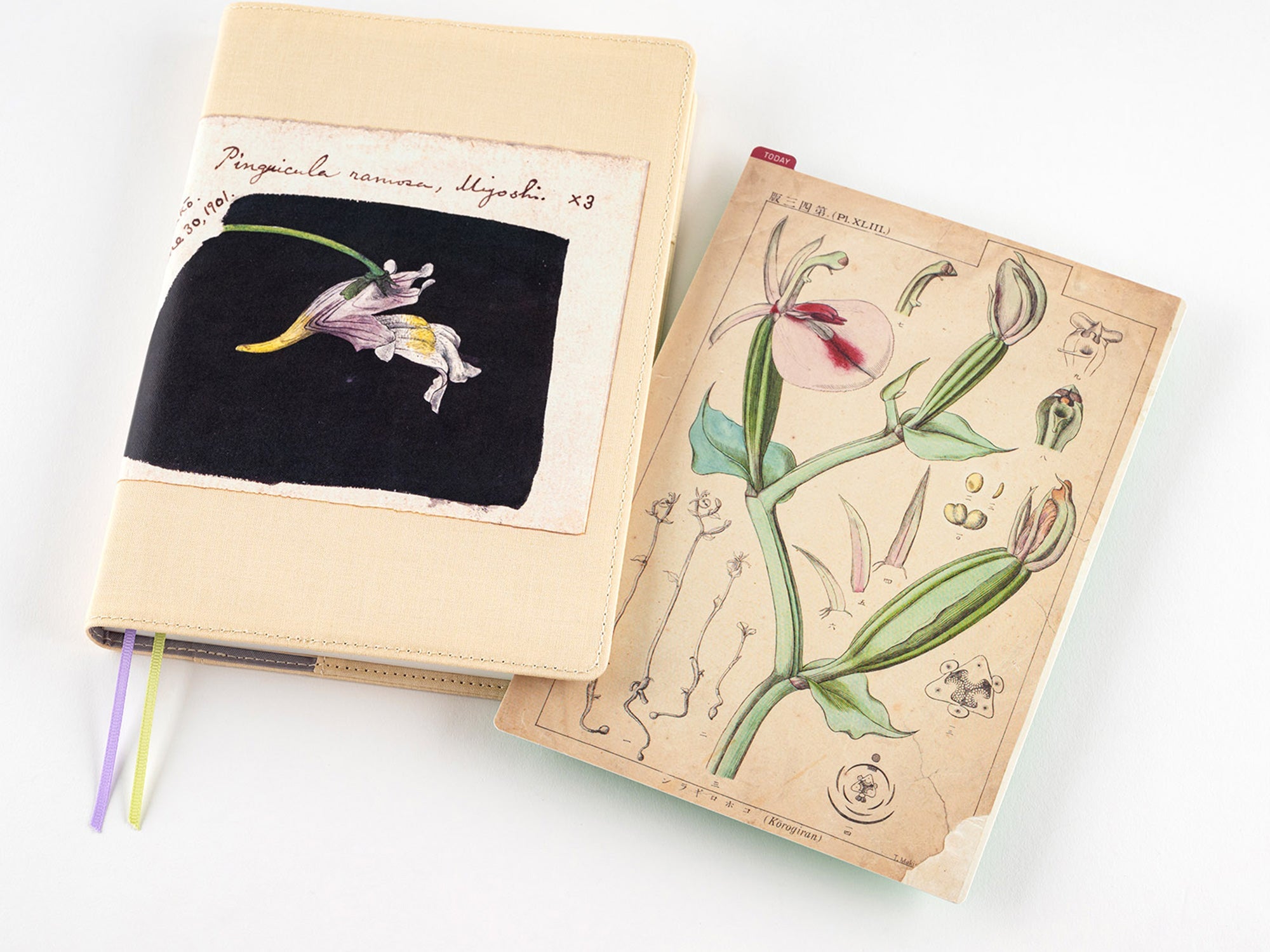 Hobonichi Pencil Board for A5 Size - Tomitaro Makino