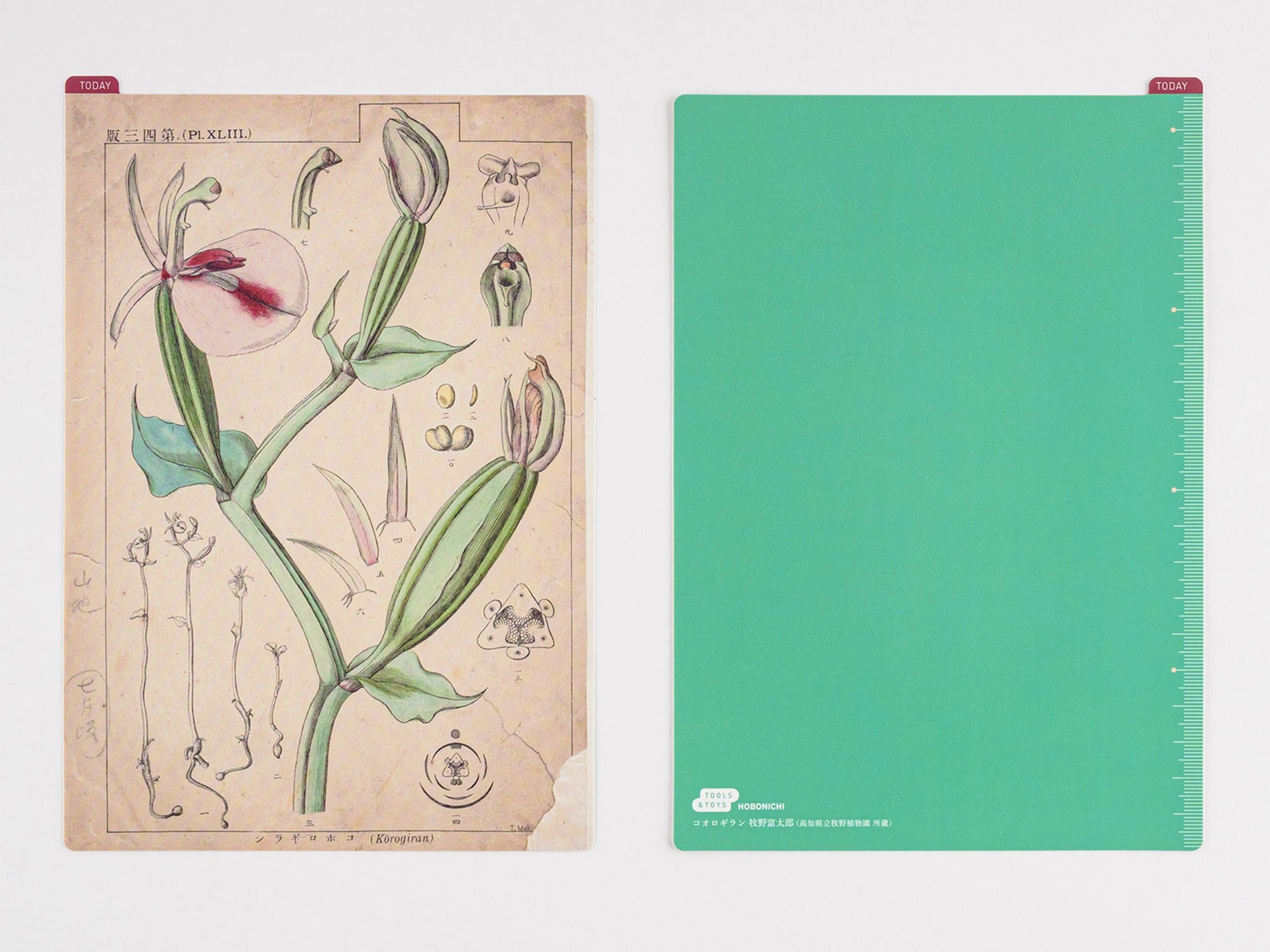 Hobonichi Pencil Board for A5 Size - Tomitaro Makino
