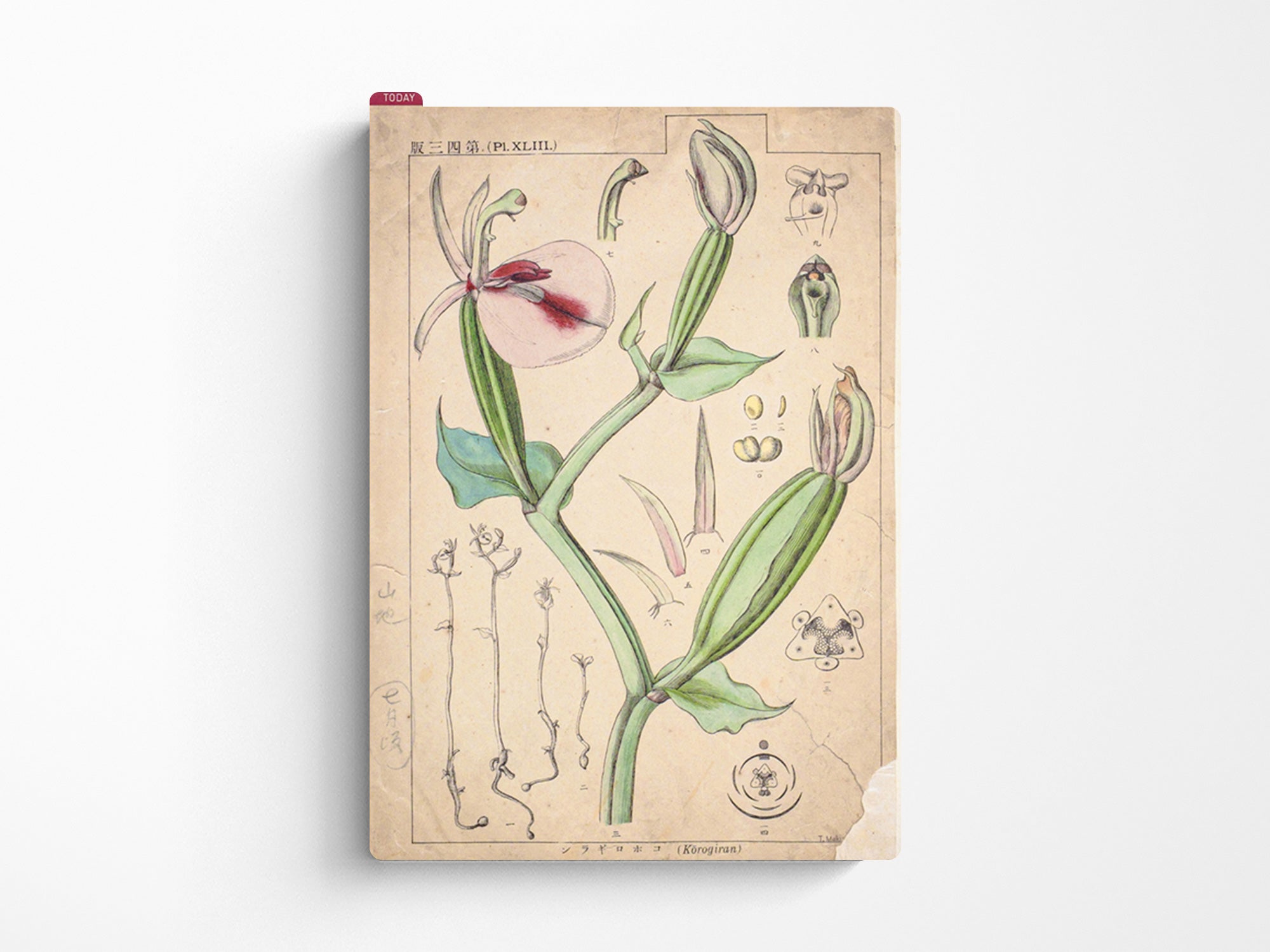 Hobonichi Pencil Board for A5 Size - Tomitaro Makino
