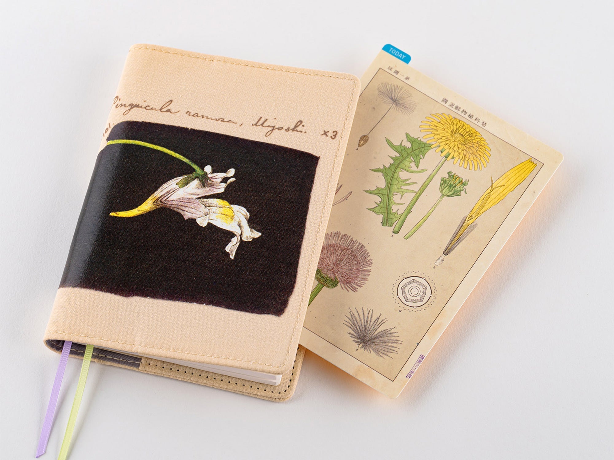 Hobonichi Pencil Board for A6 Size - Tomitaro Makino
