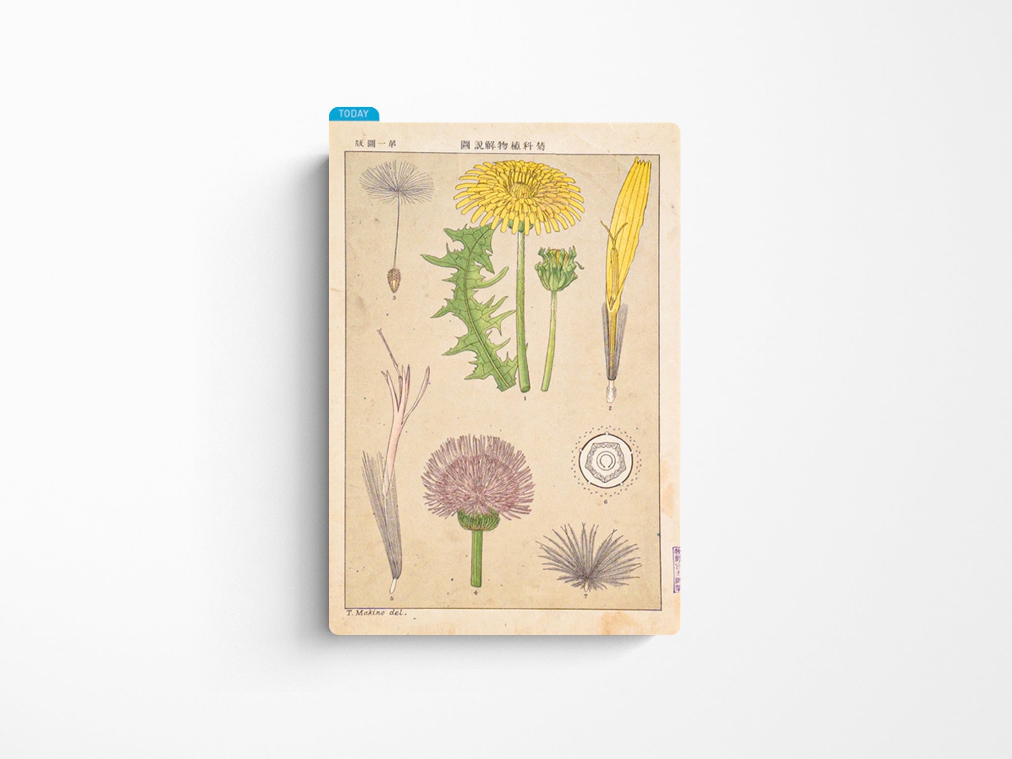 Hobonichi Pencil Board for A6 Size - Tomitaro Makino