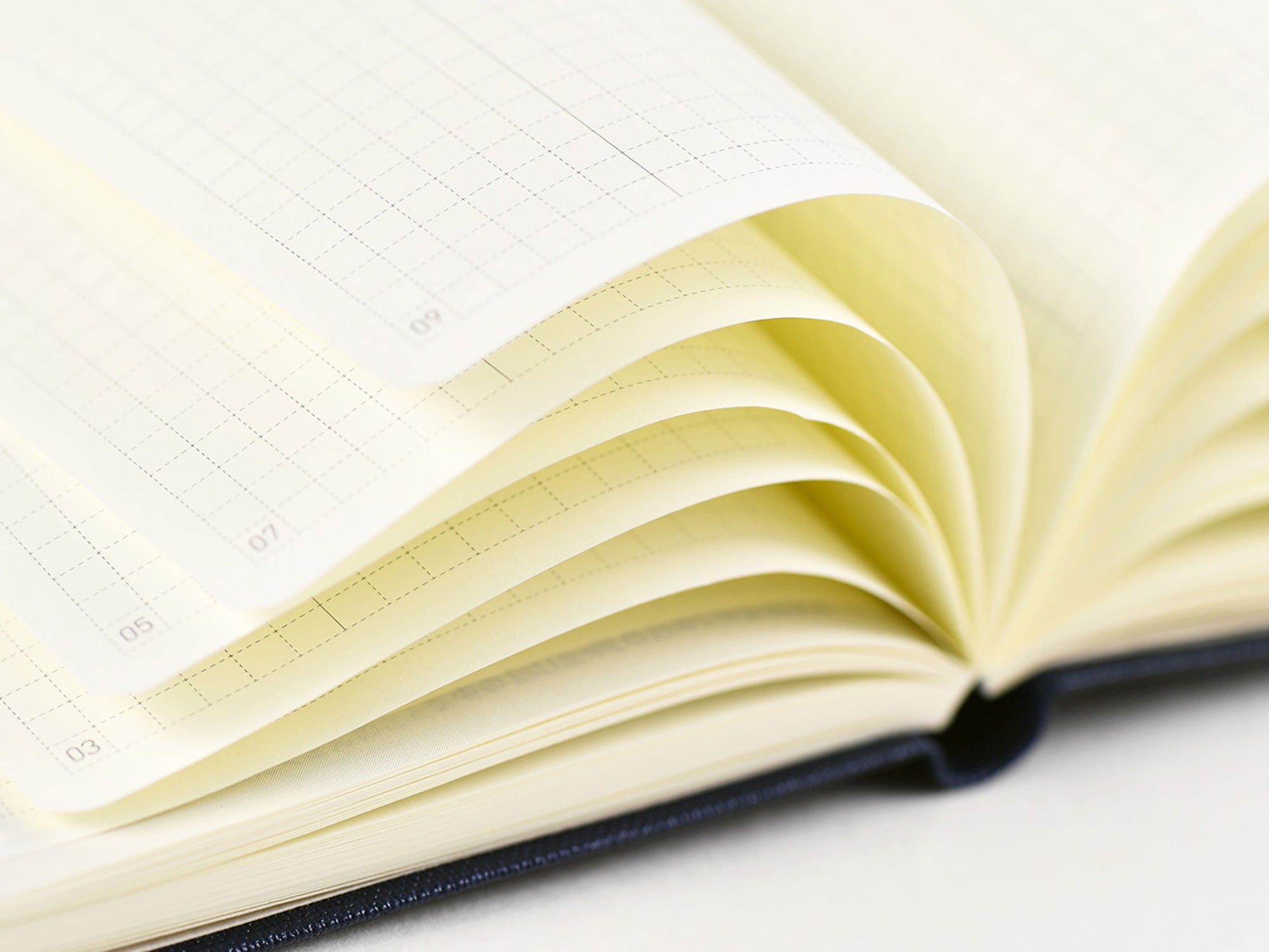 Hobonichi Techo Weeks 2025 - Sparkling Hobotoridori - April Start