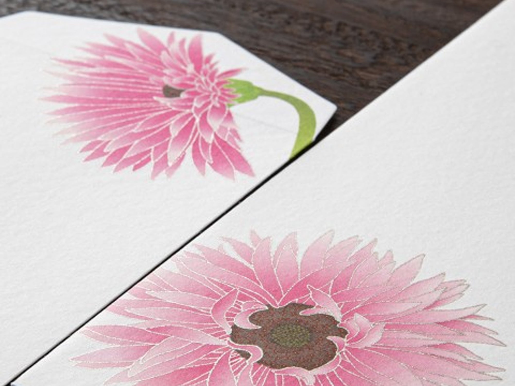 Midori Seasonal Envelopes - 164 Gerbera Daisy