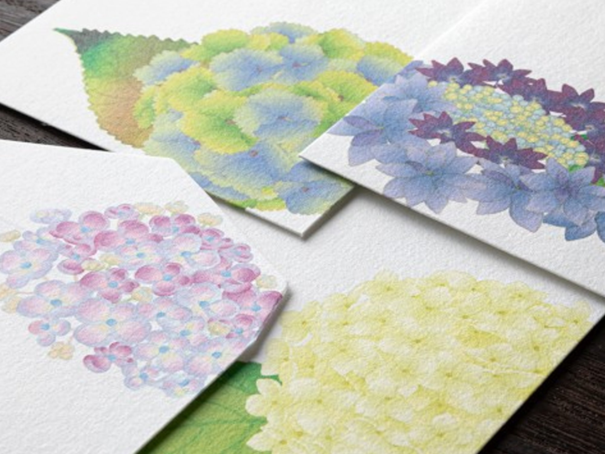 Midori Seasonal Envelopes - 166 Four Designs Hydrangea