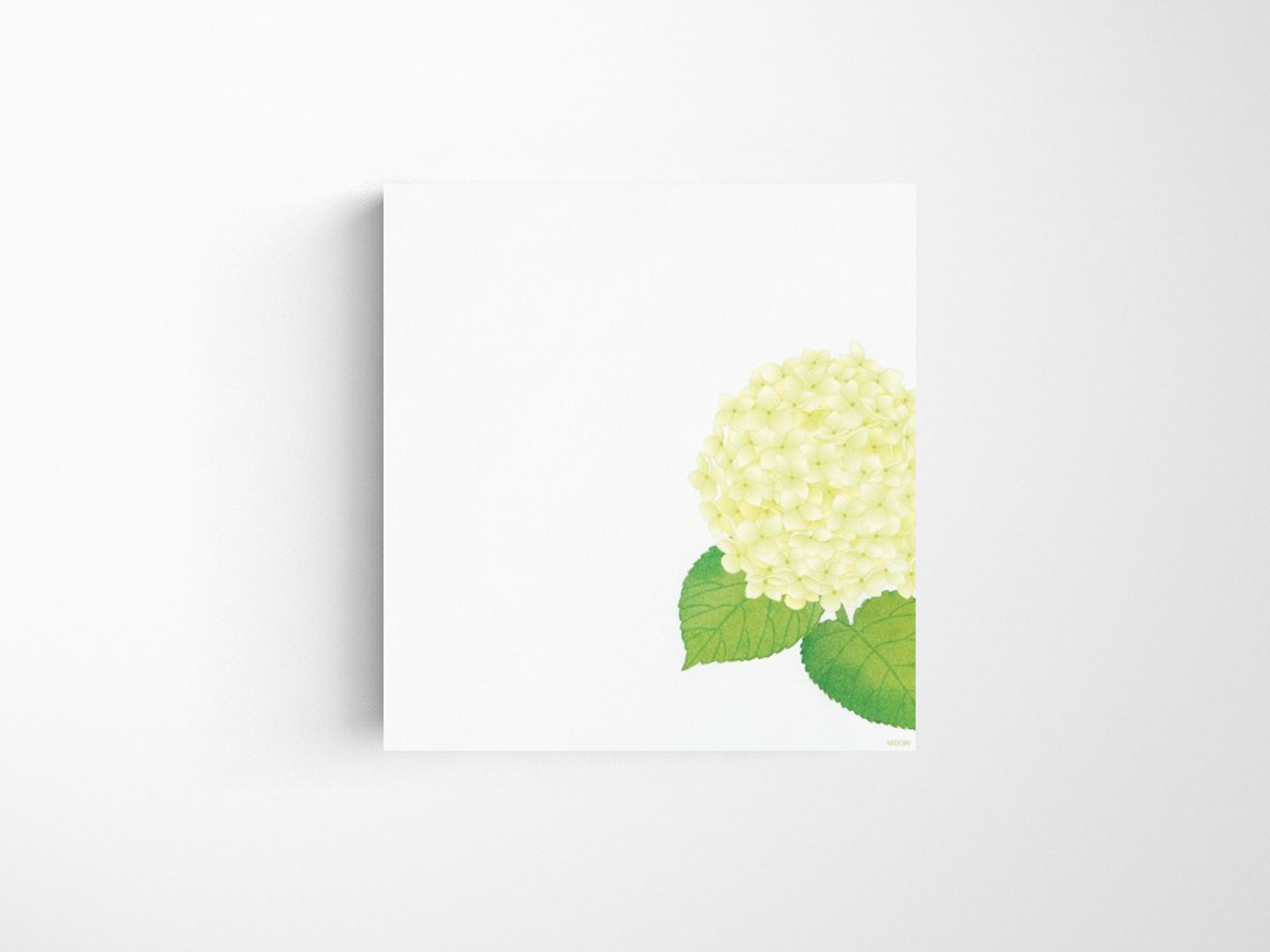 Midori Seasonal Letter Pad - 165 Four Designs Hydrangea