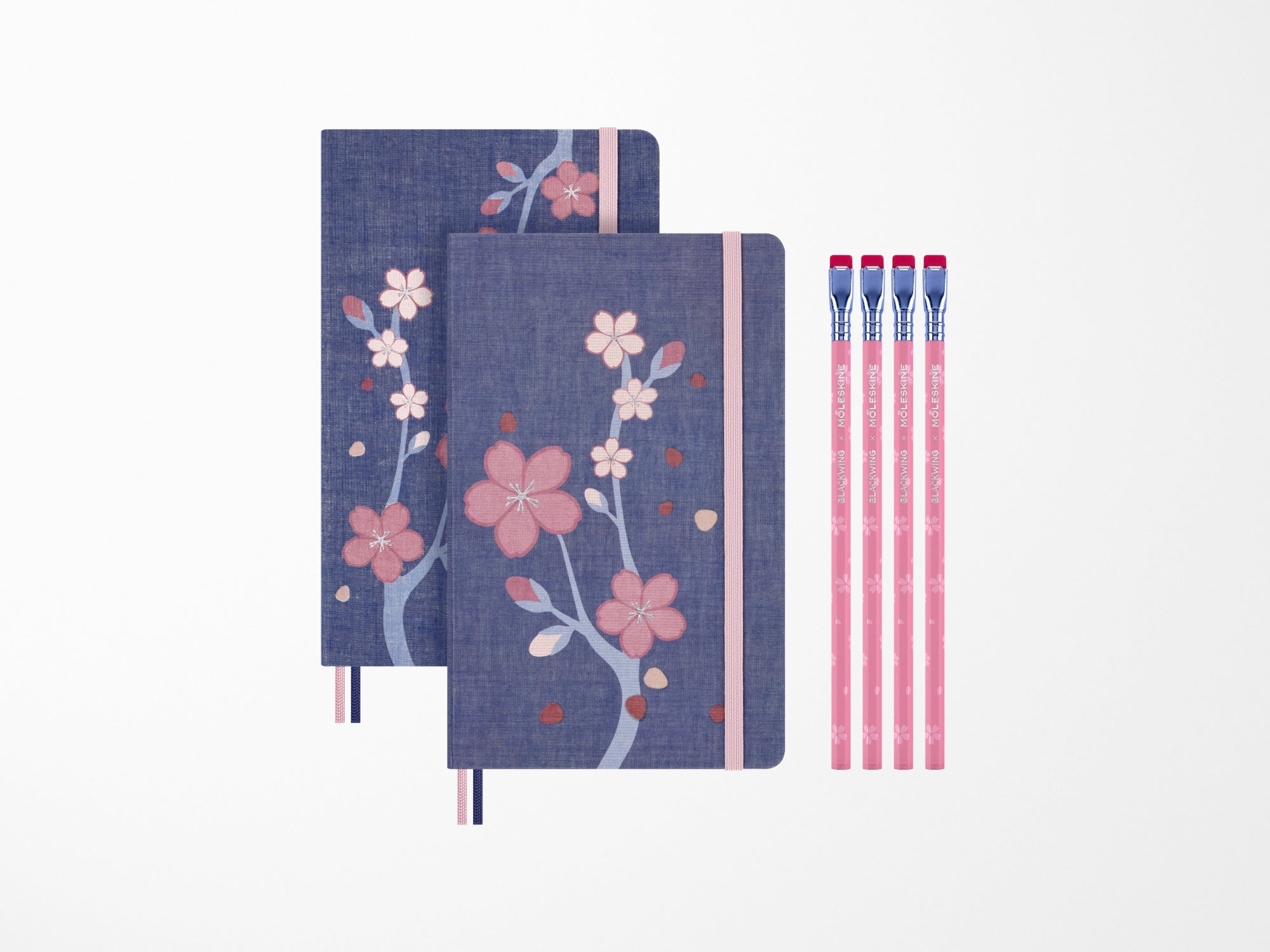 Moleskine Saukra 2025 Custom Edition Gift Set