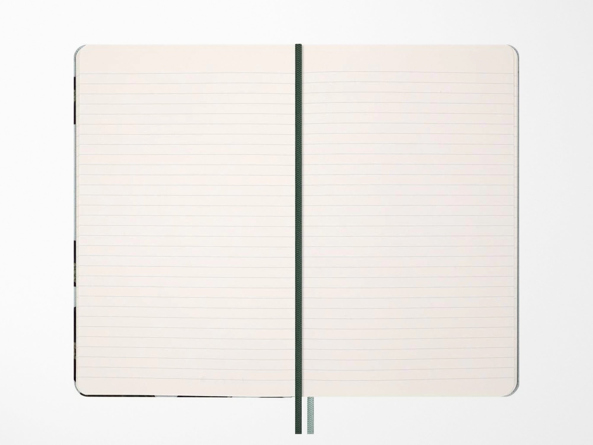 Moleskine Year Of The Snake Green Silk Notebook