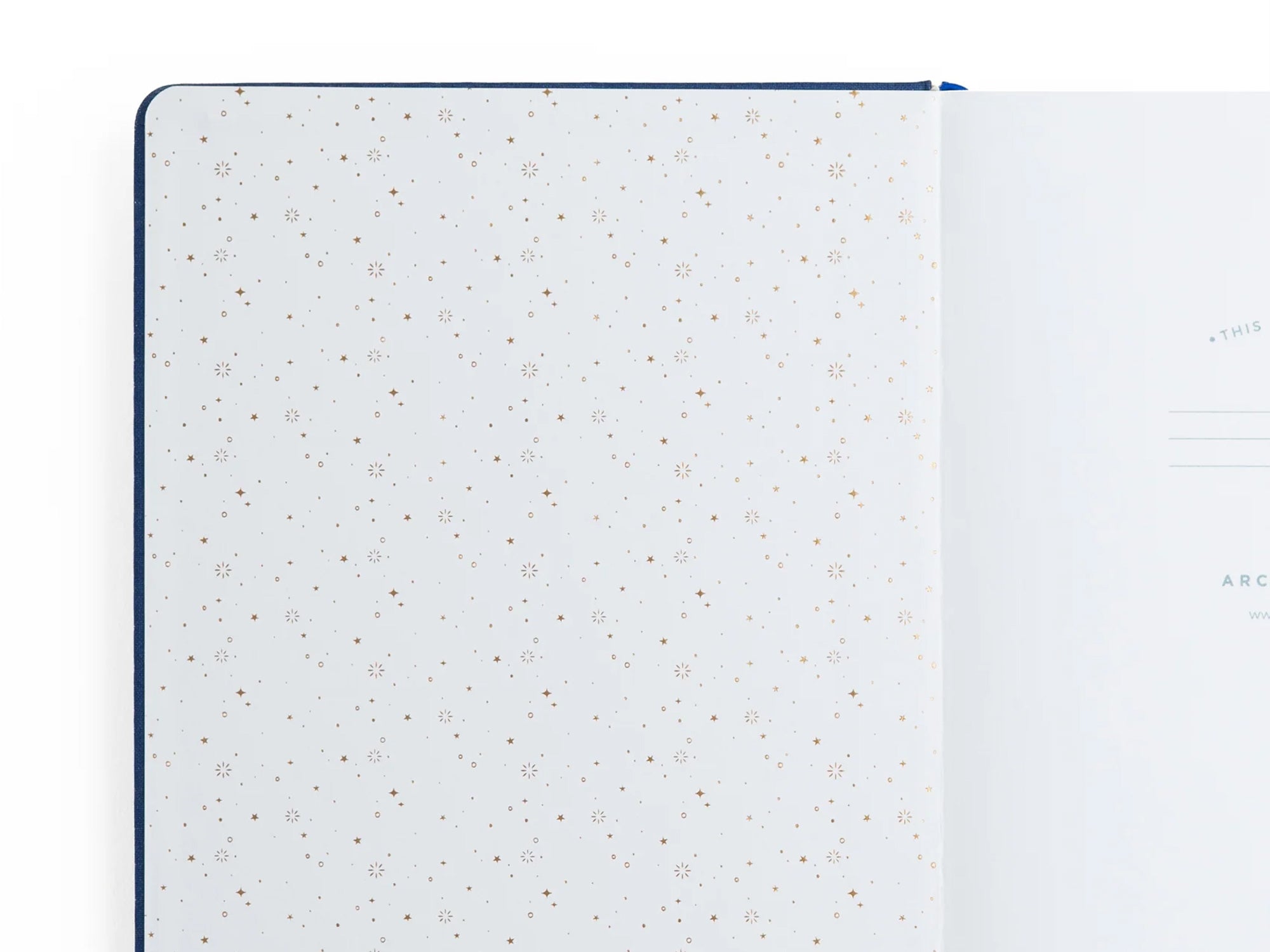 New! Firefly Night A5 Dot Grid Journal