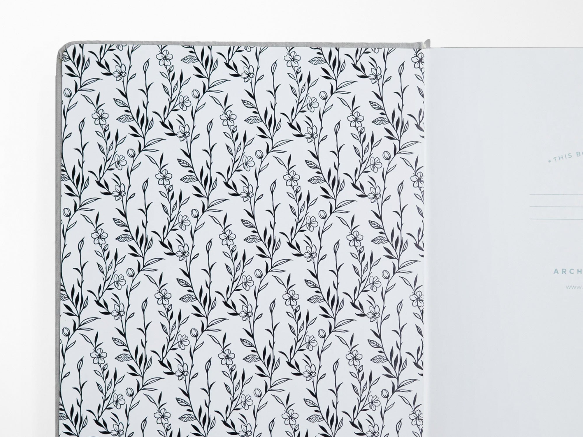New! Radiant Raccoon A5 Dot Grid Journal