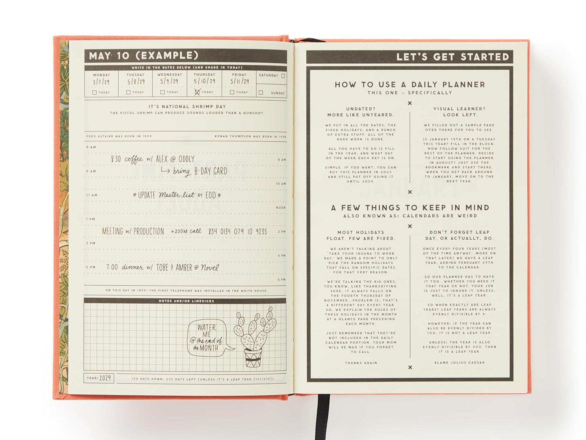 Part Time Adult: A Daily Planner