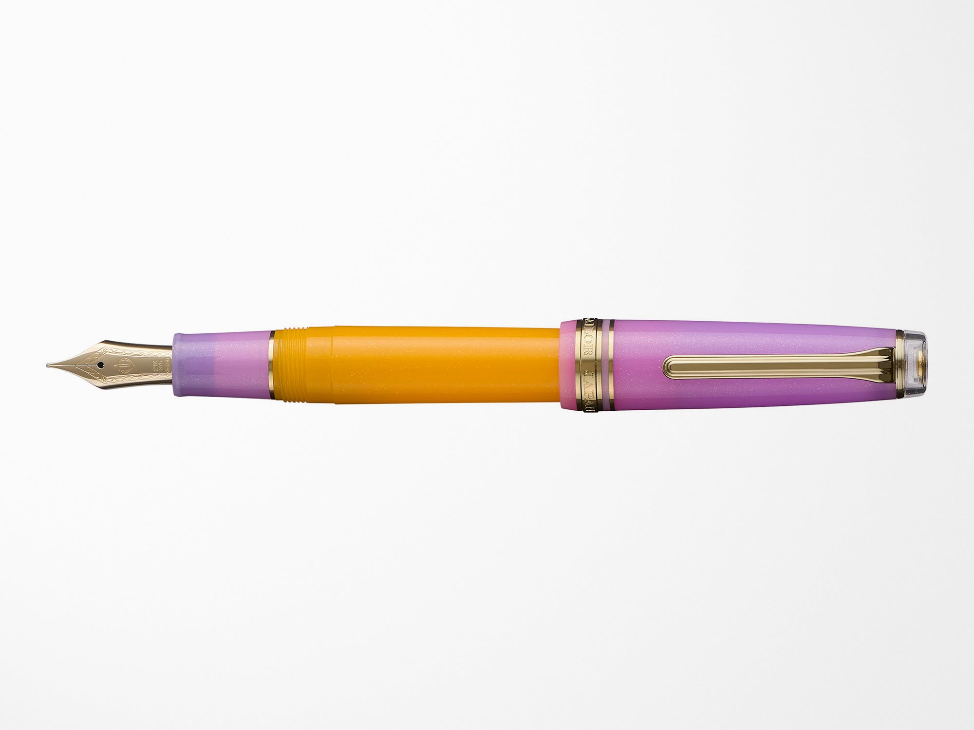 Sailor Pro Gear Fountain Pen - Smoothie 2 - Acai Berry