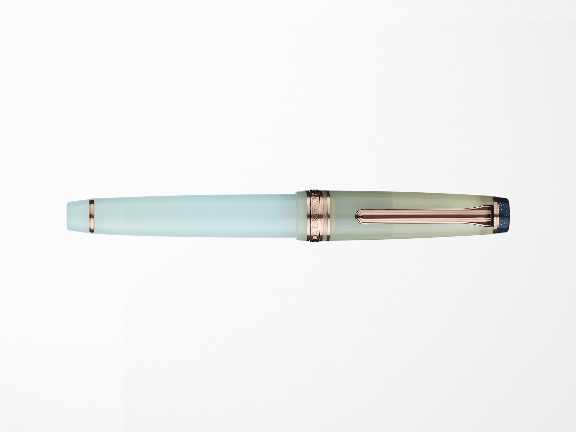 Sailor Pro Gear Slim Fountain Pen - Dried Flowers - Hydrangea