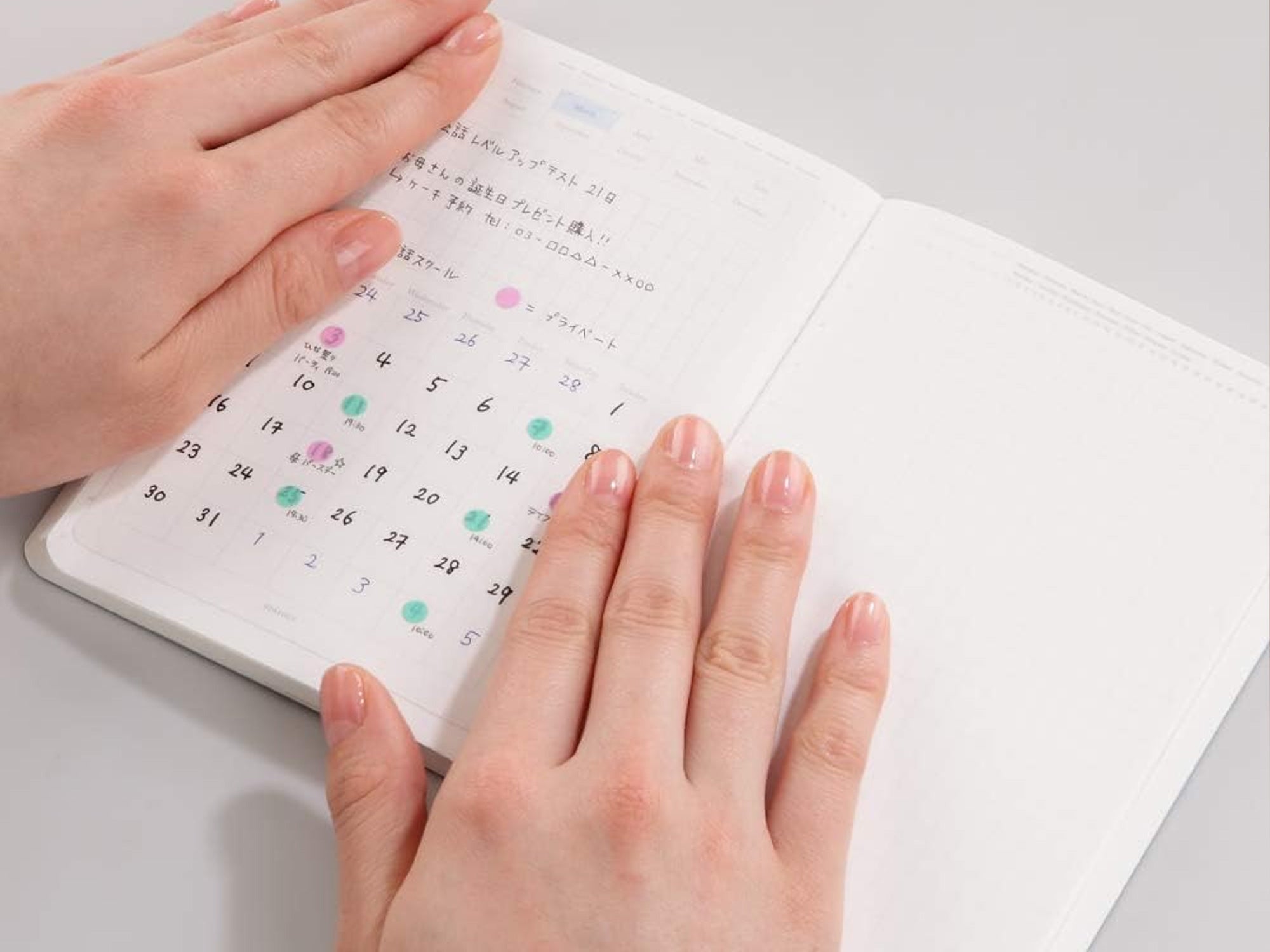 Stalogy 1/2 Year Notebook Limited Edition