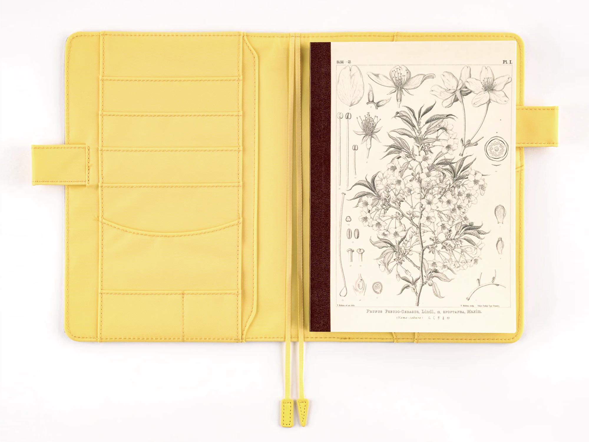 Tomitaro Makino: Hobonichi Graph Notebook A5 - Yamazakura