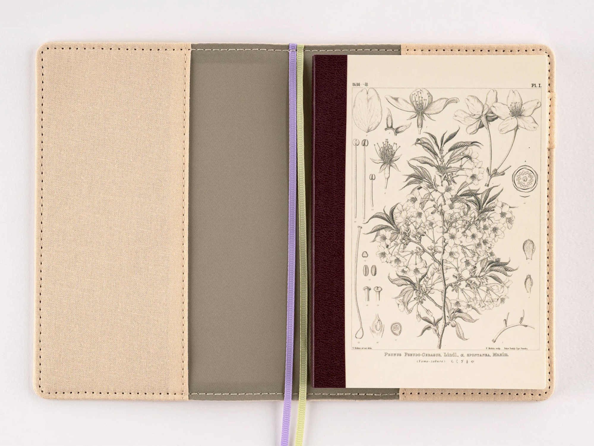 Tomitaro Makino: Hobonichi Graph Notebook A6 - Yamazakura