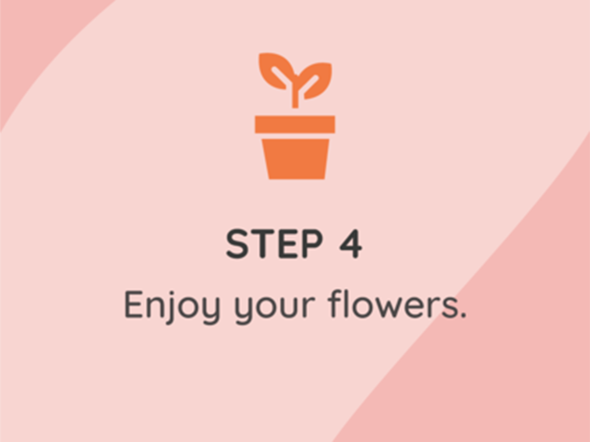 Plantable Cherry Blossom Thank You Cards - Set of 6