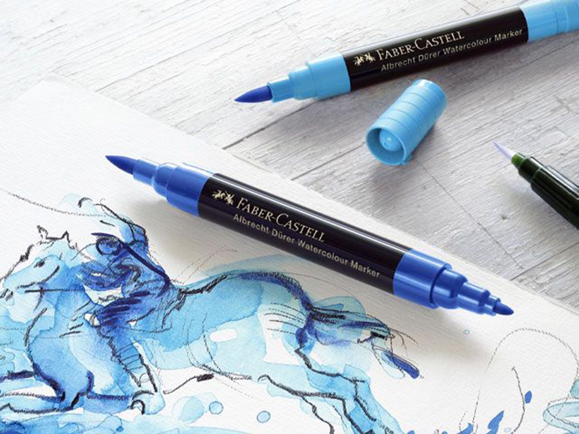 Albrecht Durer Watercolor Markers
